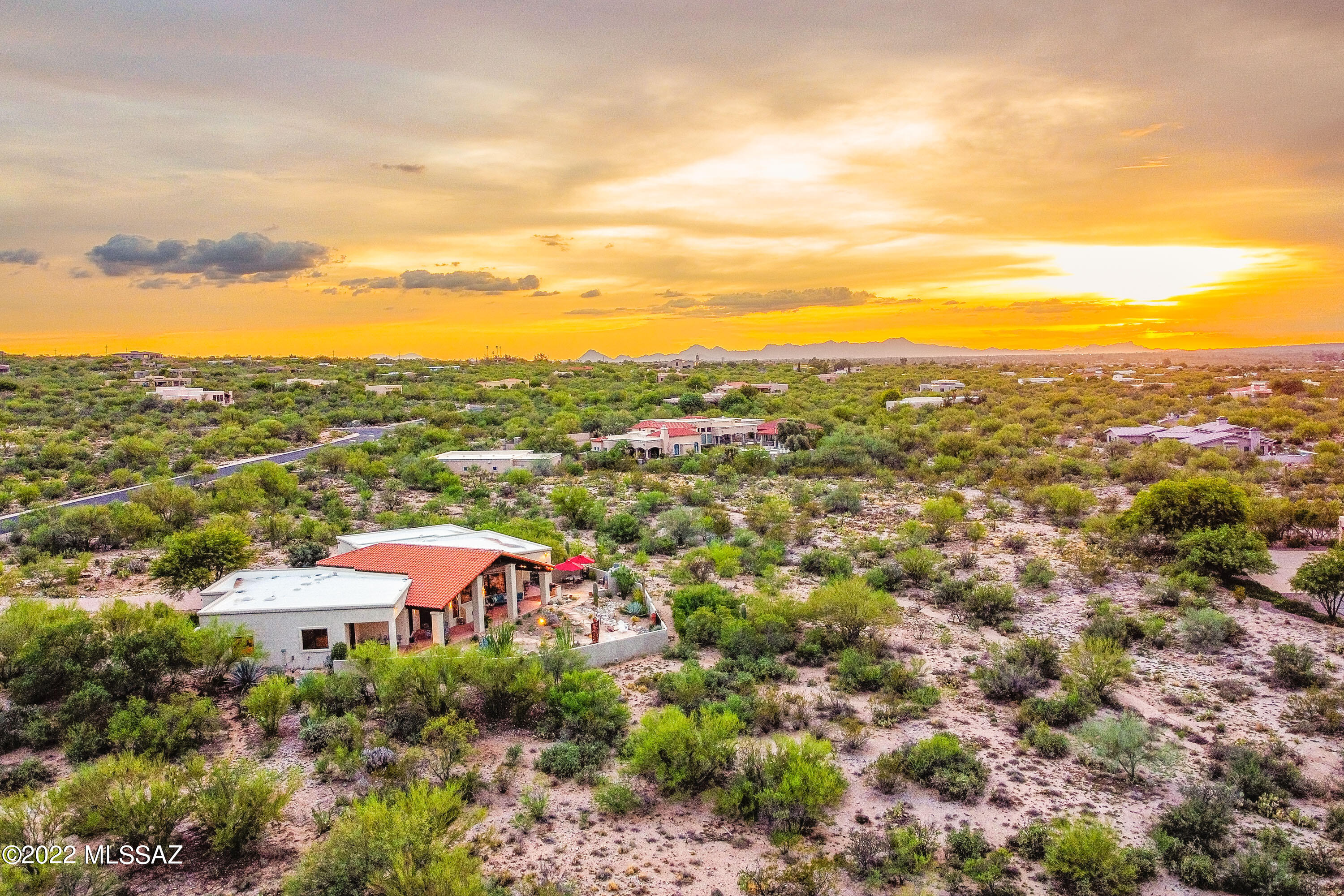 11661 E Lusitano Place