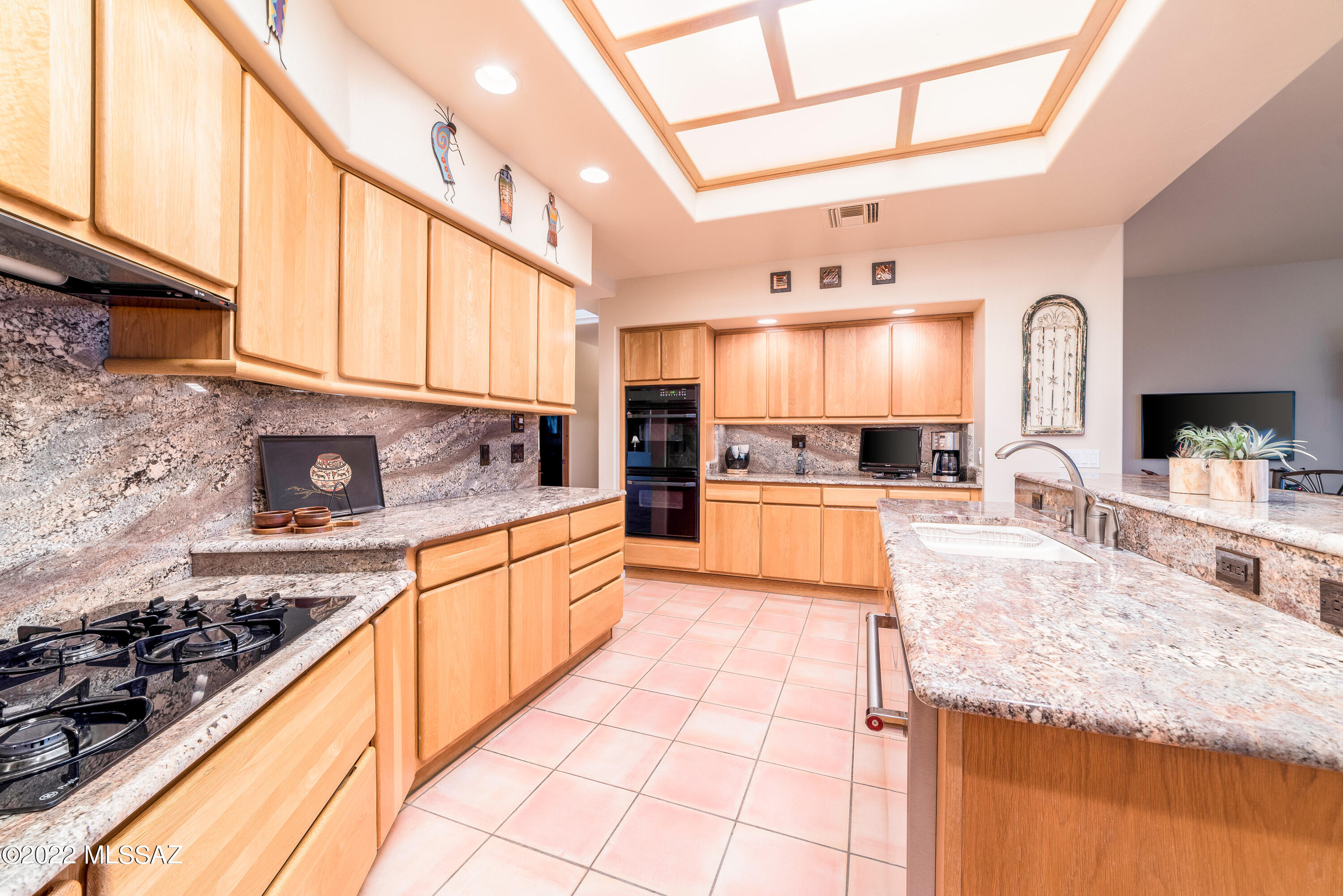 11661 E Lusitano Place