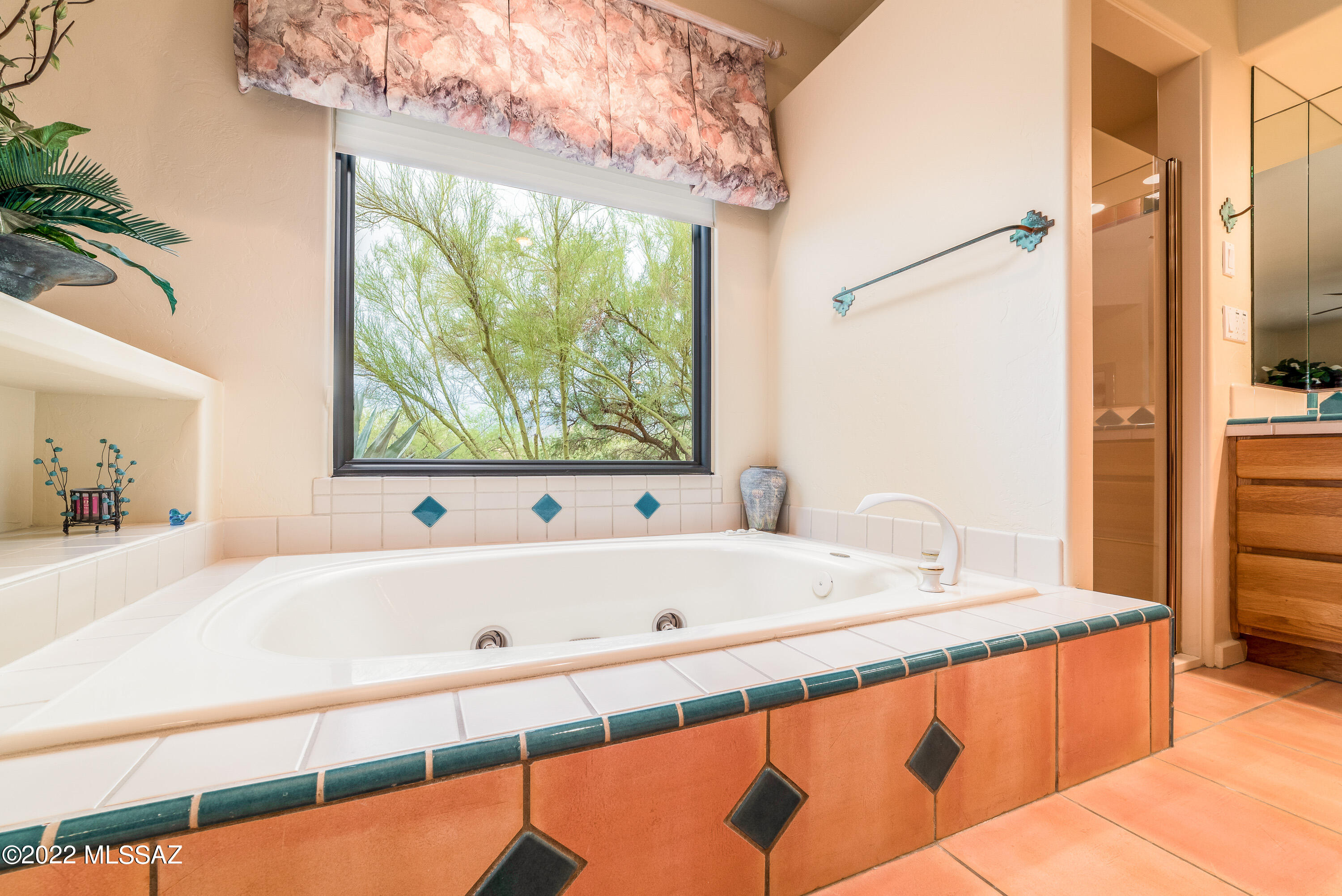 11661 E Lusitano Place