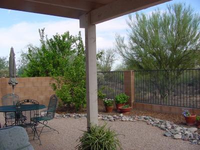 3508 W CAMINO DE CALIOPE