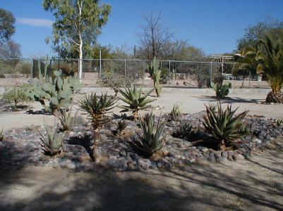 10181 N Hacienda Hermosa Drive