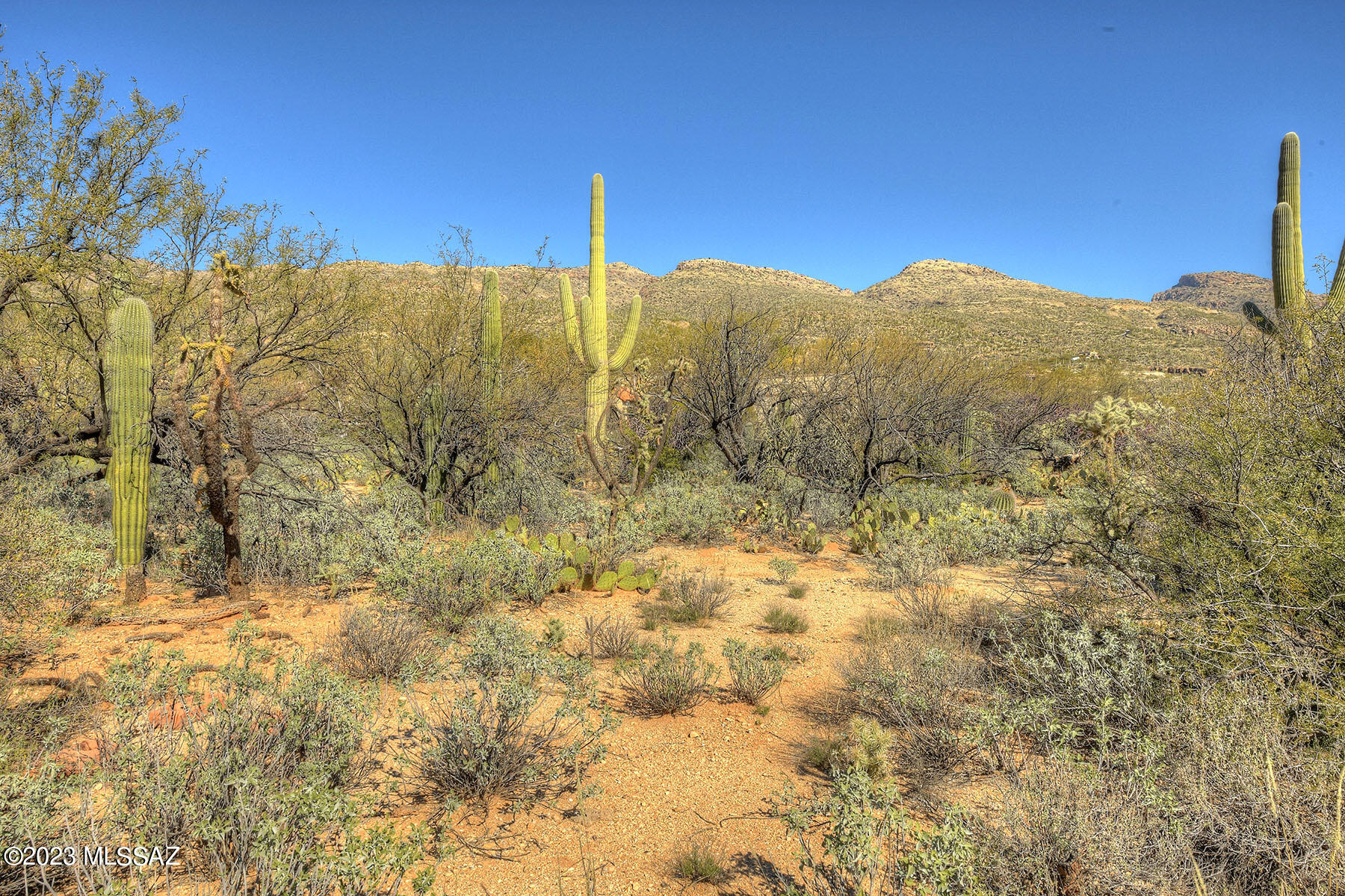 4910 N Avenida De Suzenu