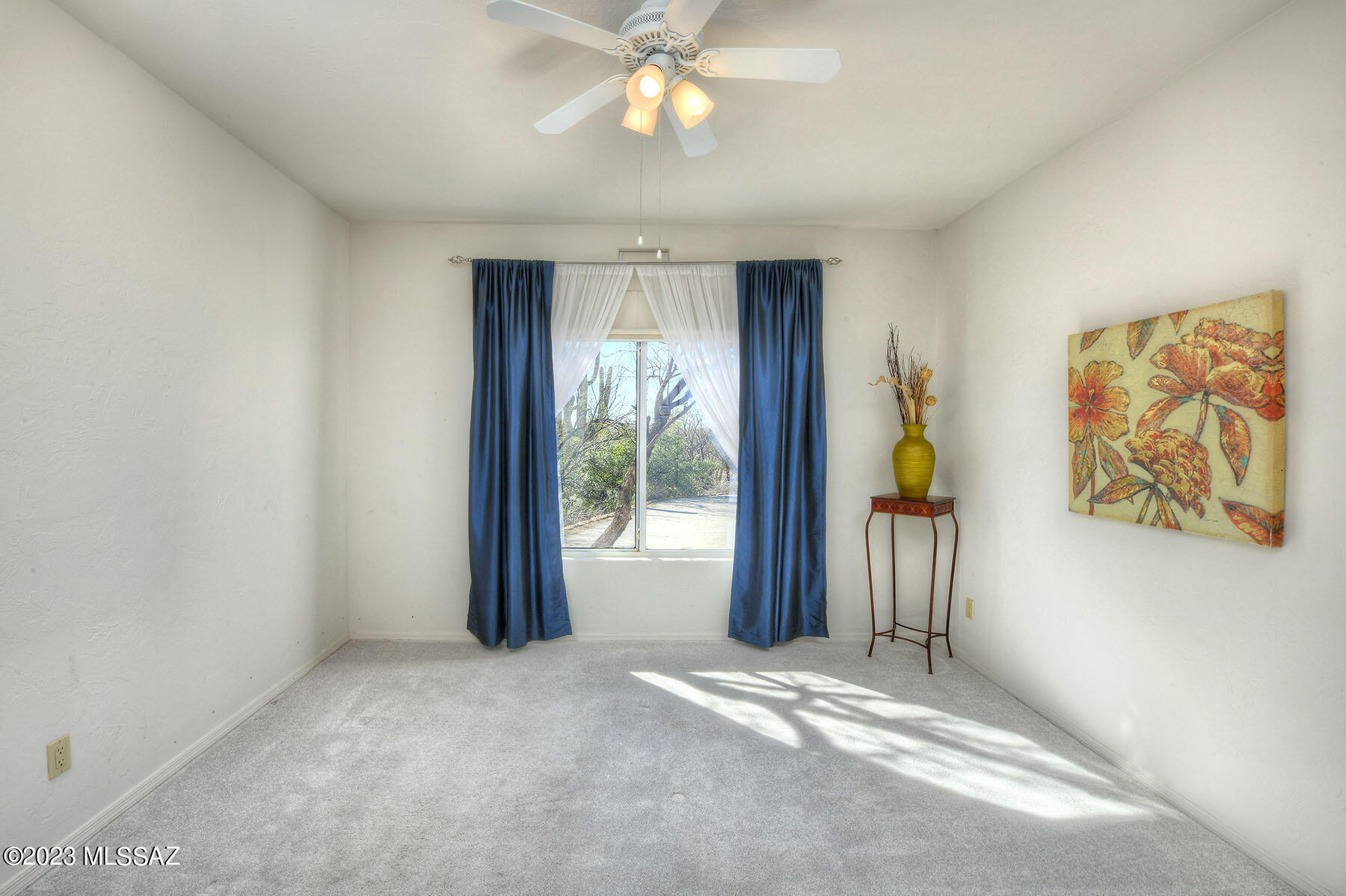 4910 N Avenida De Suzenu