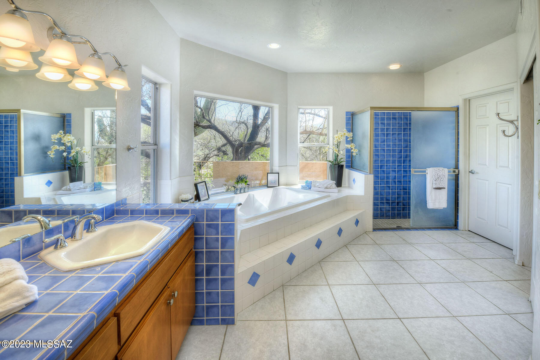 4910 N Avenida De Suzenu