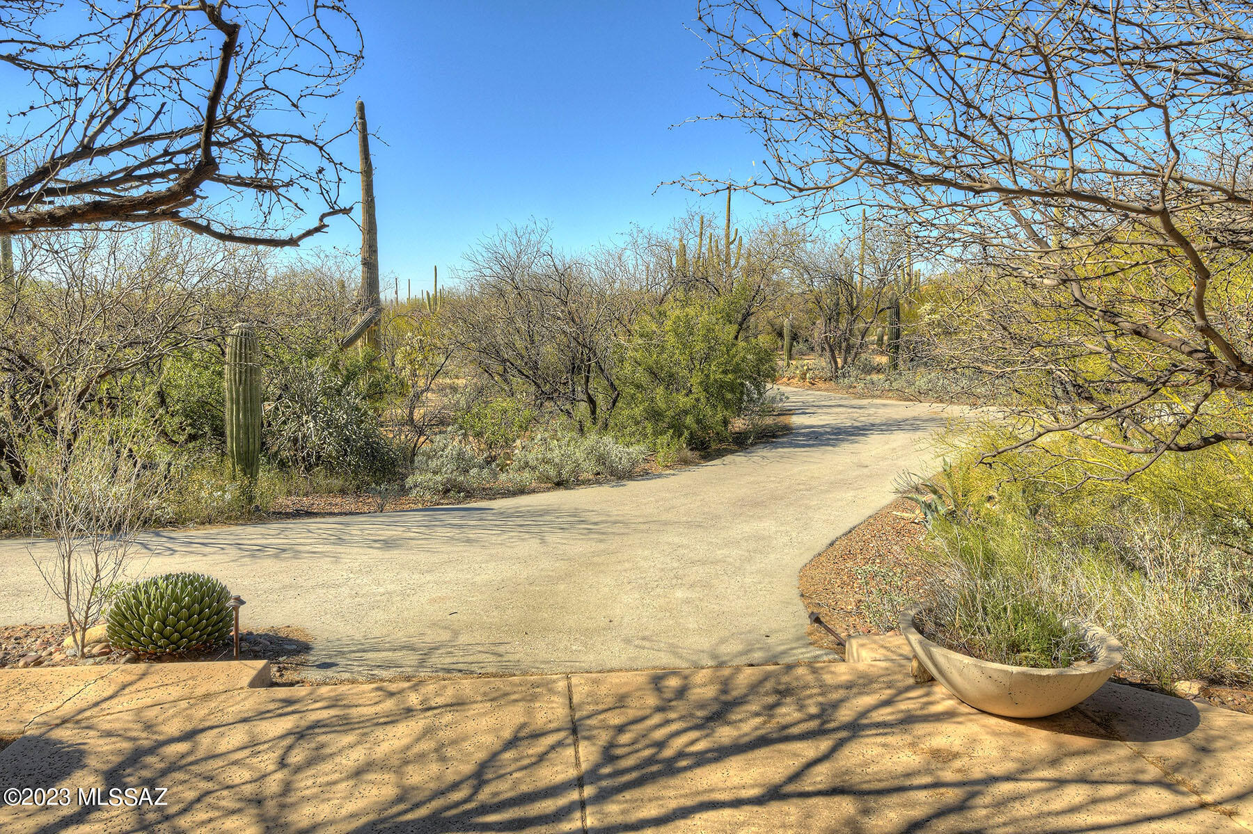 4910 N Avenida De Suzenu