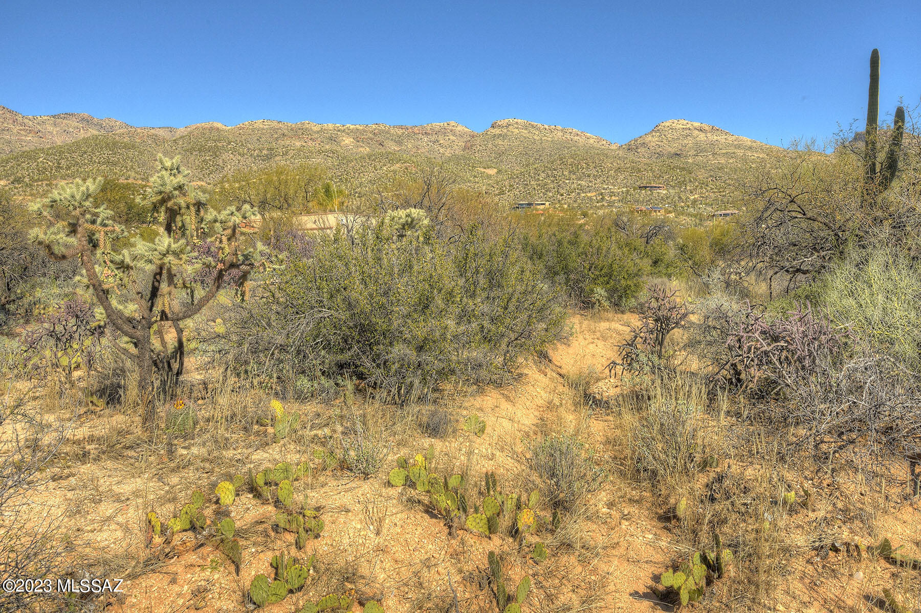 4910 N Avenida De Suzenu