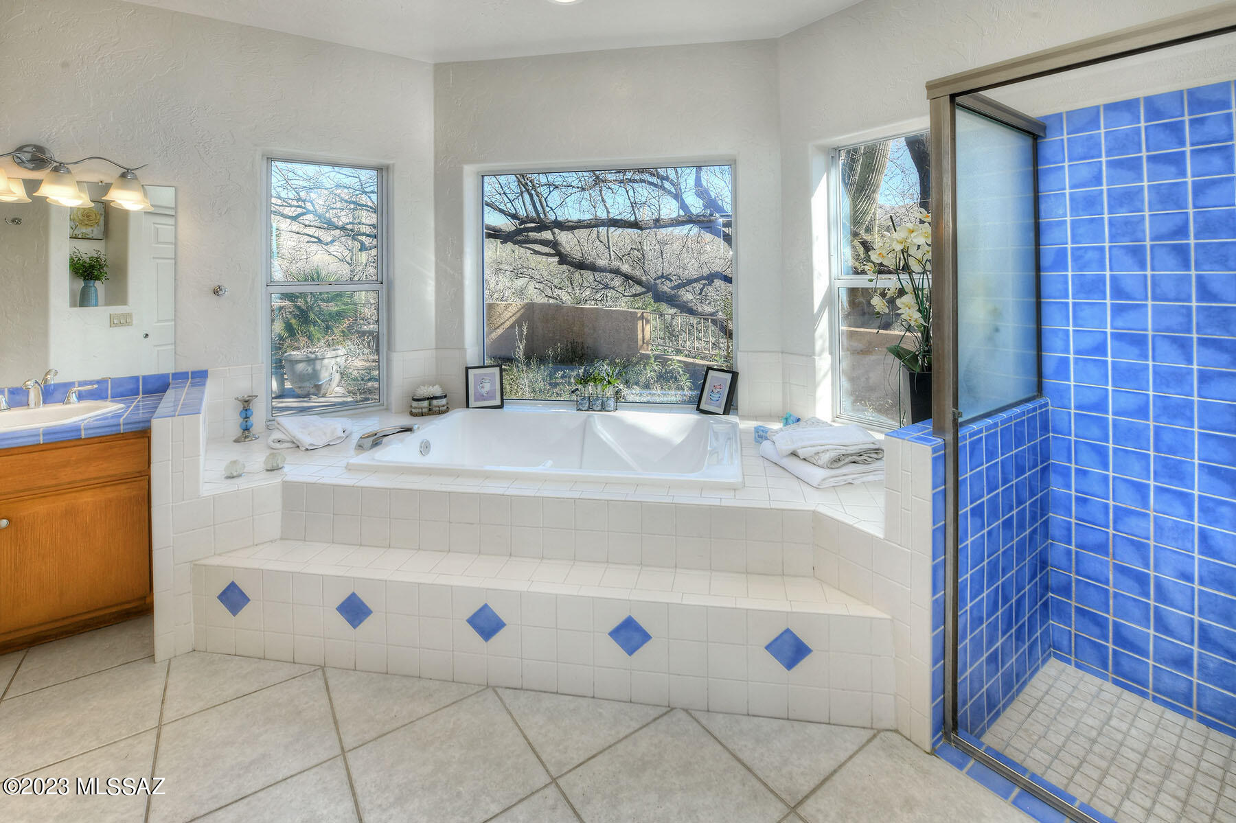 4910 N Avenida De Suzenu