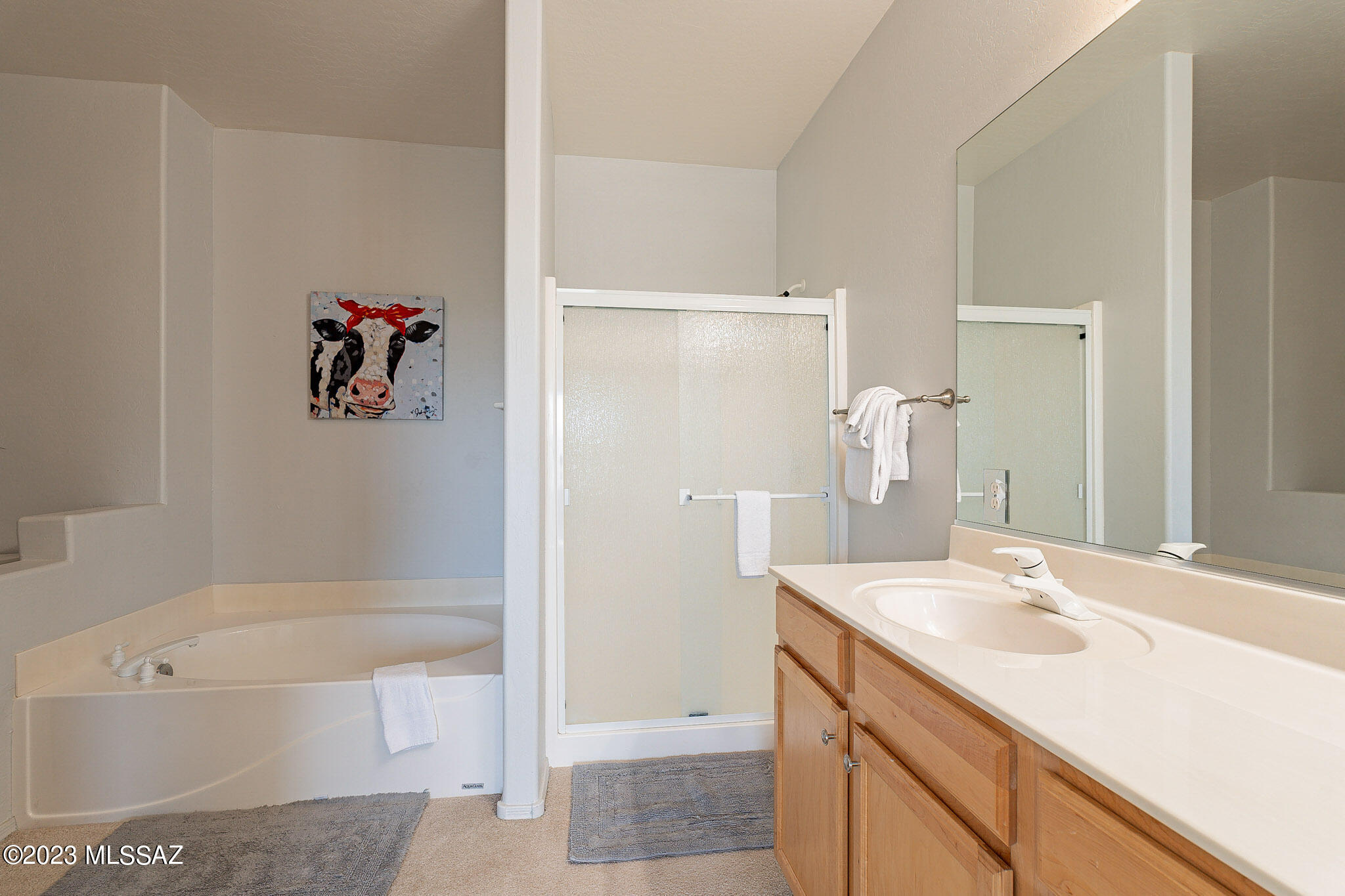 755 W Vistoso Highlands Drive Unit: 217