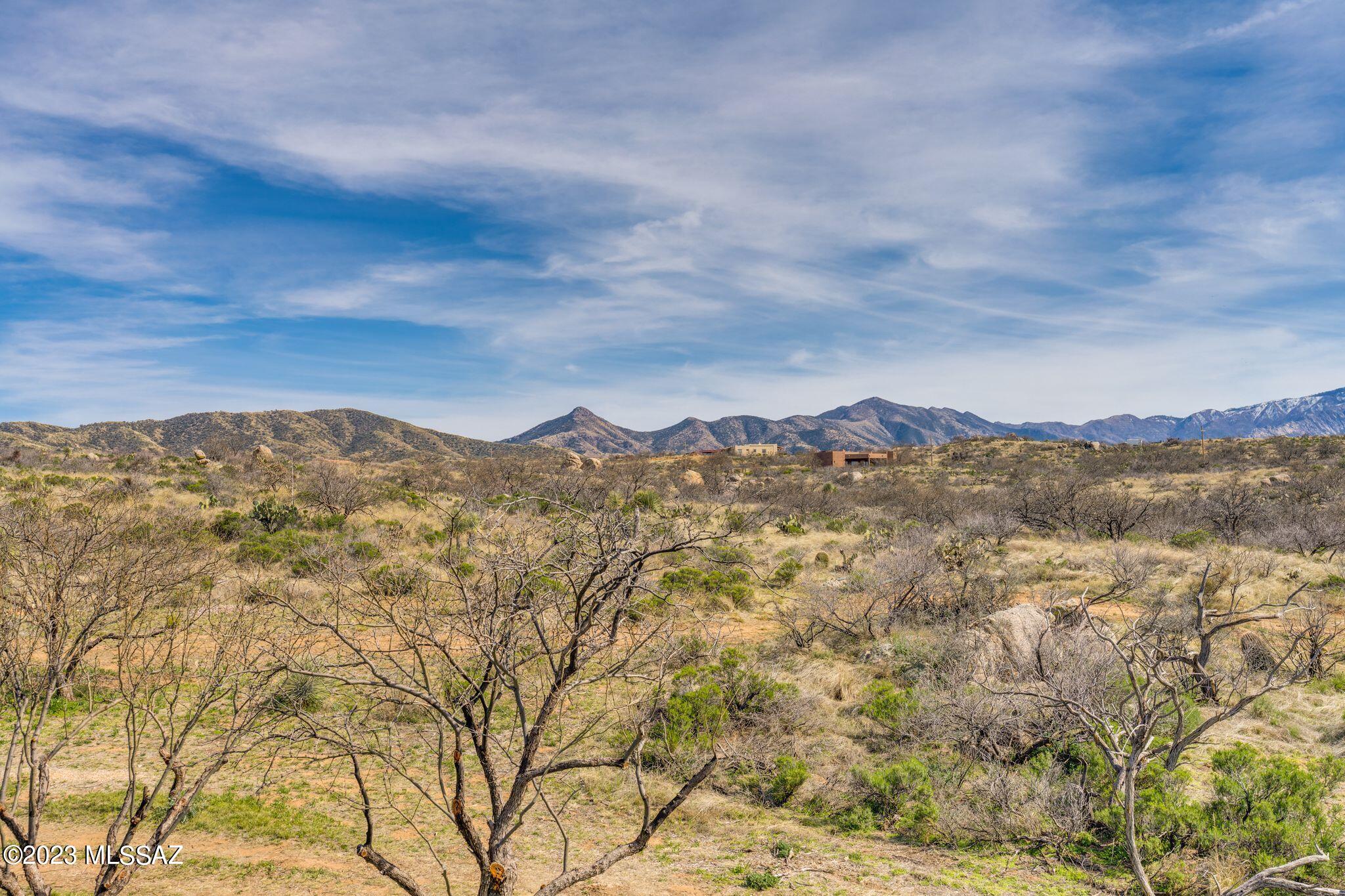 3169 W Red Sage Trail