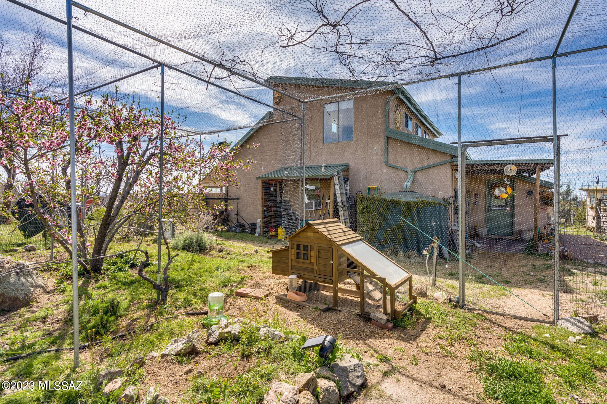 3169 W Red Sage Trail