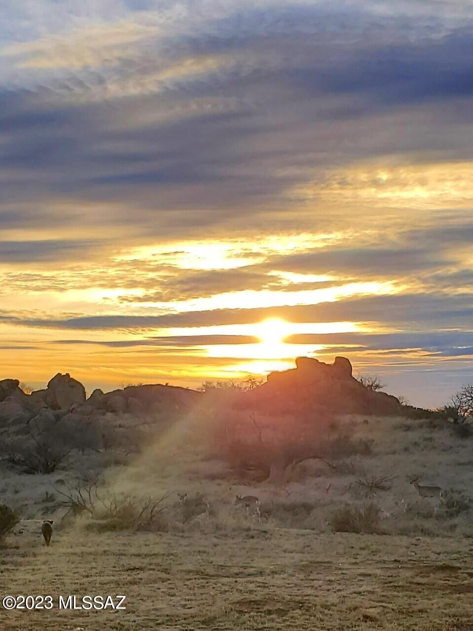 3169 W Red Sage Trail