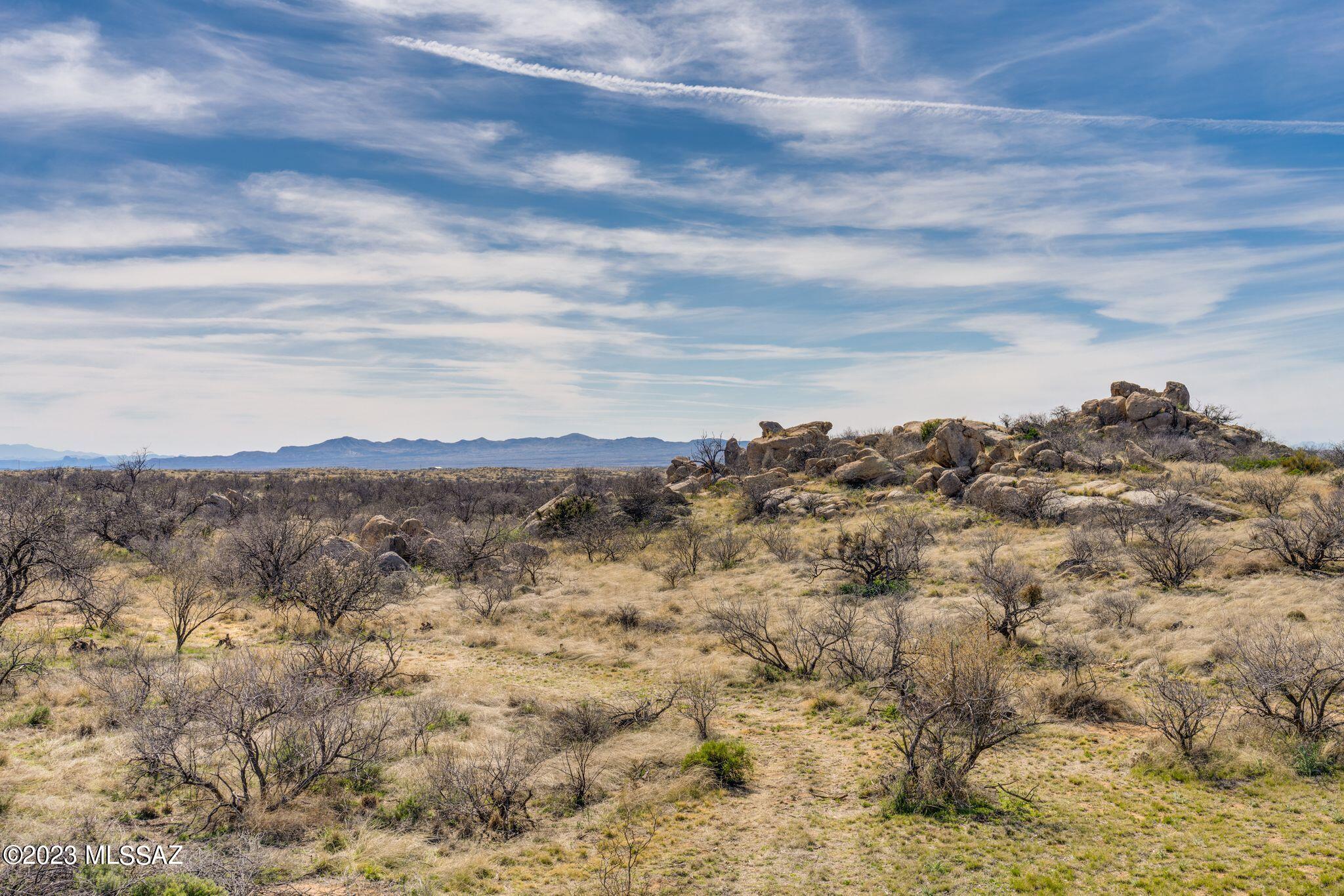 3169 W Red Sage Trail