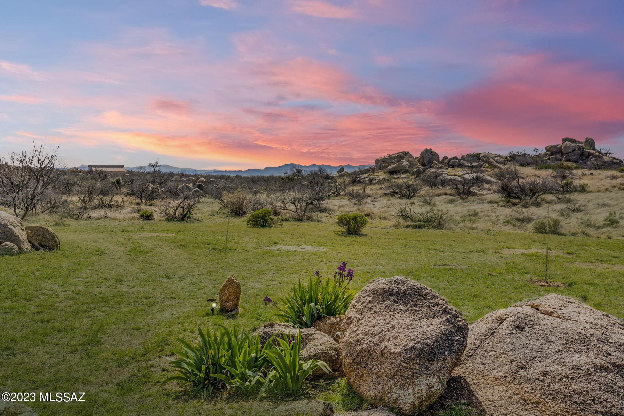 3169 W Red Sage Trail