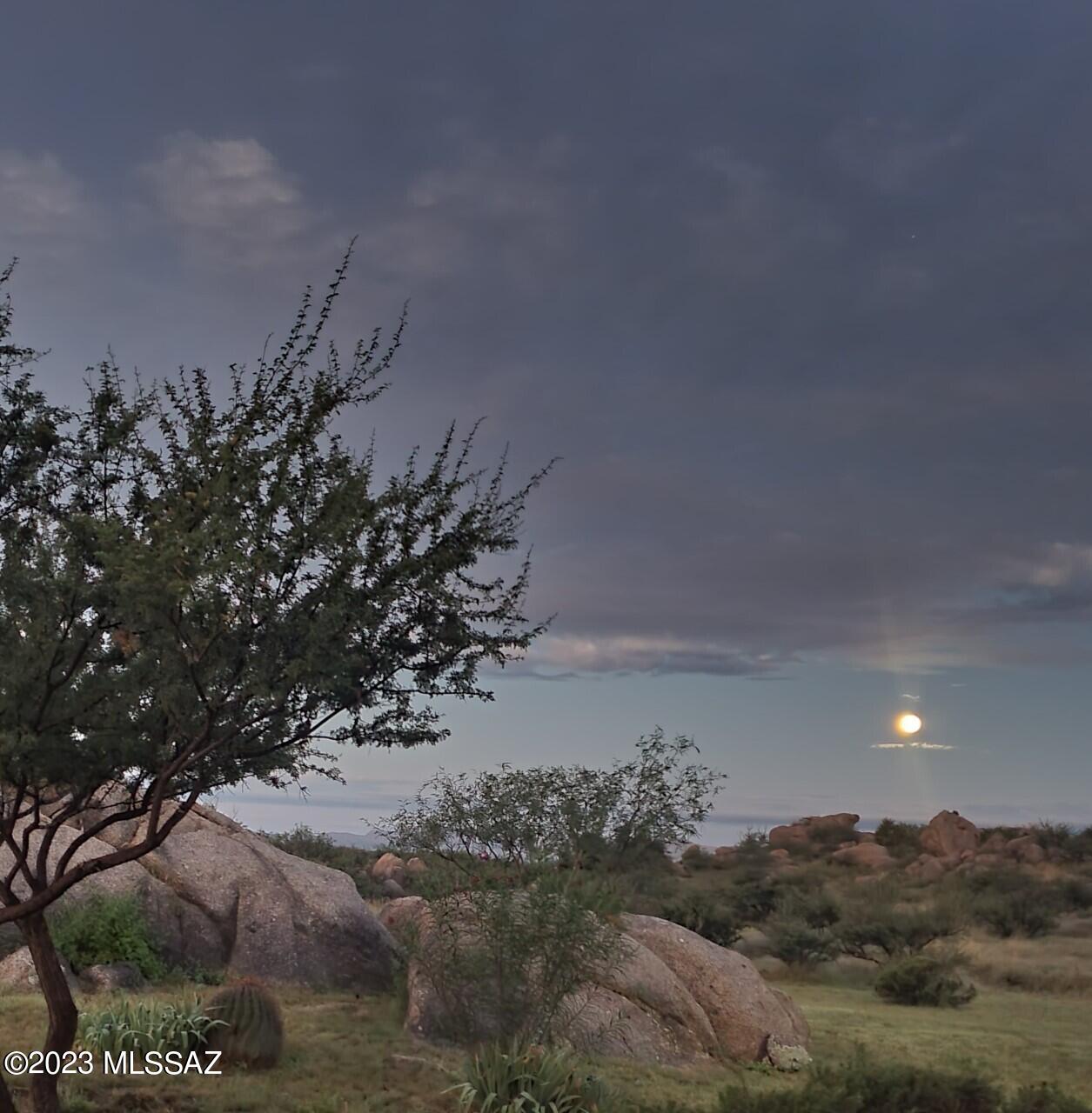 3169 W Red Sage Trail