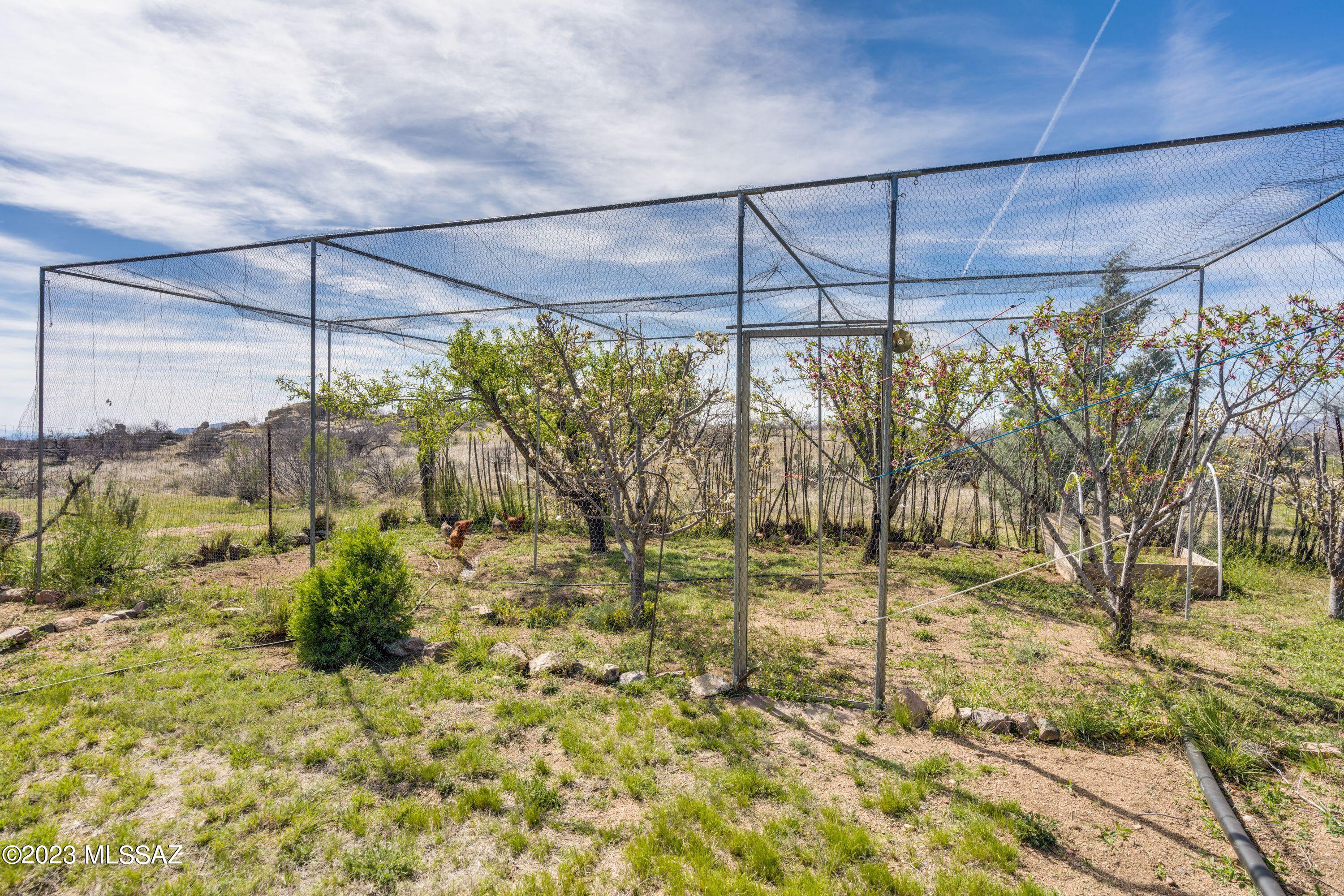 3169 W Red Sage Trail