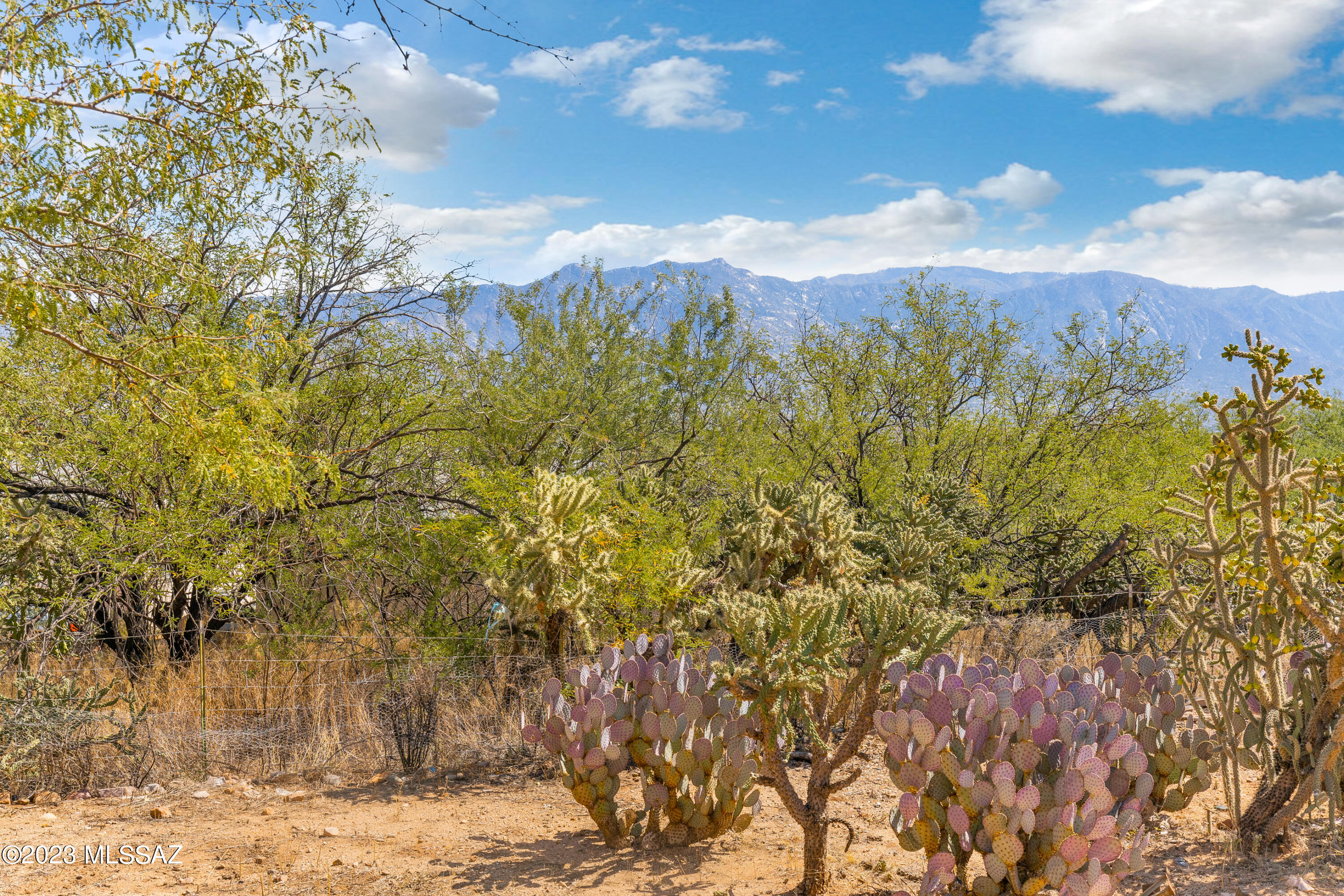 3920 E Coronado Sunset Drive