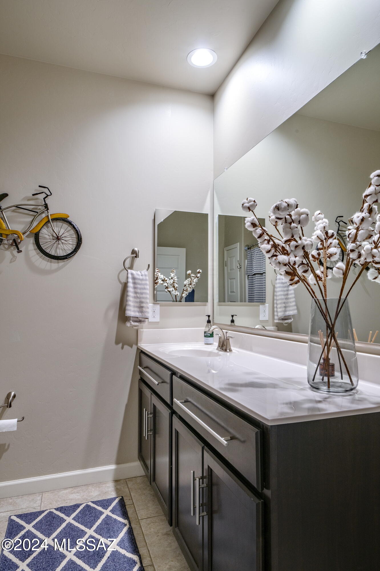 3511 W Sophora Ridge Way