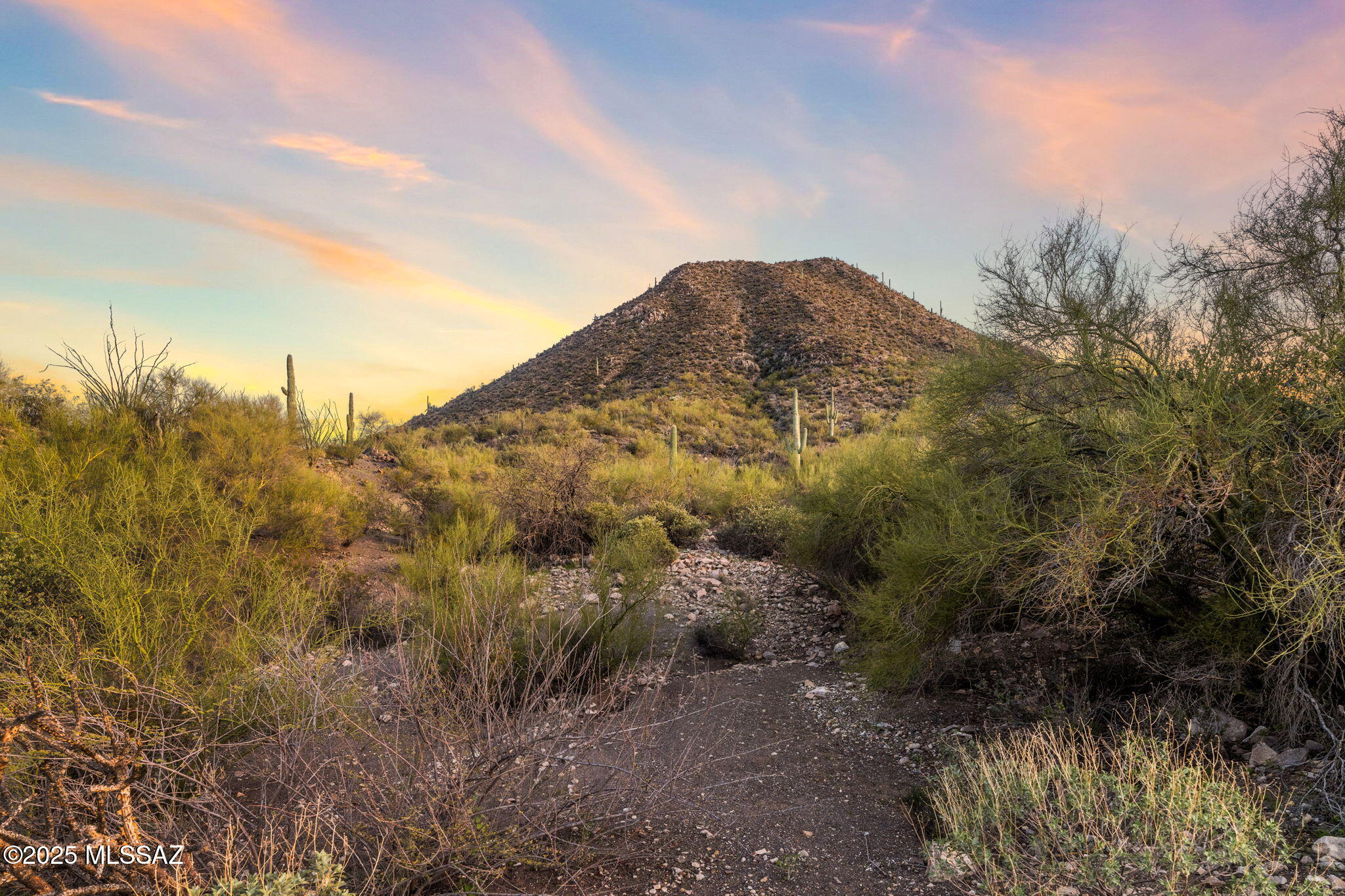 4251 W Mountain Side Drive Unit: 21