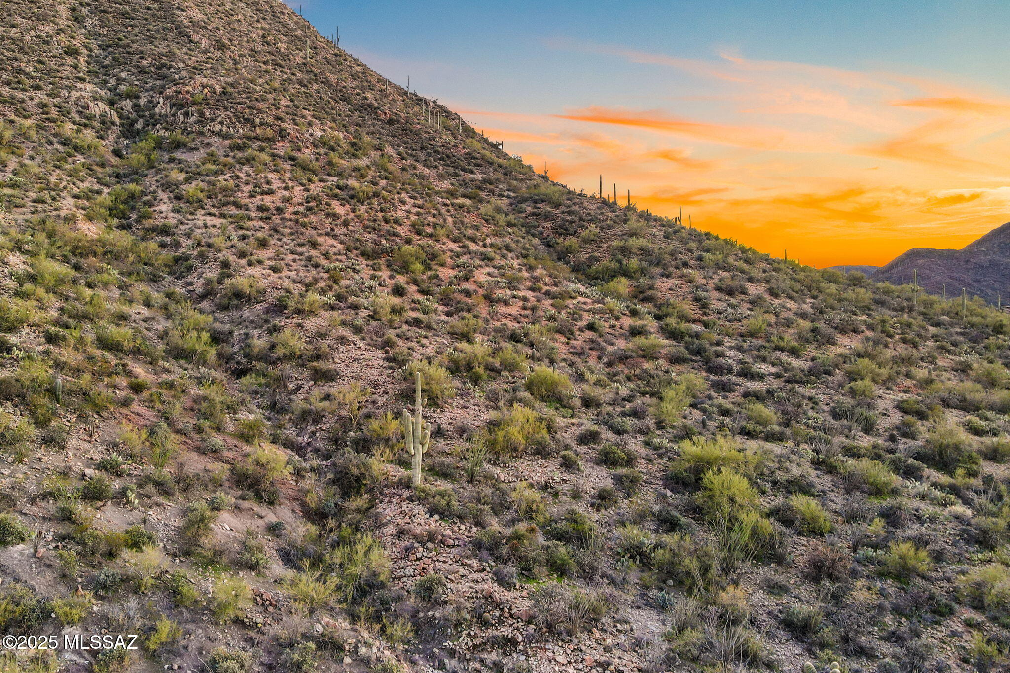 4251 W Mountain Side Drive Unit: 21