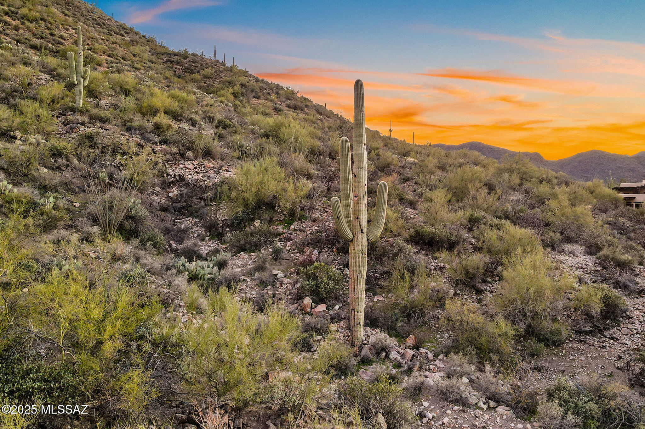 4251 W Mountain Side Drive Unit: 21