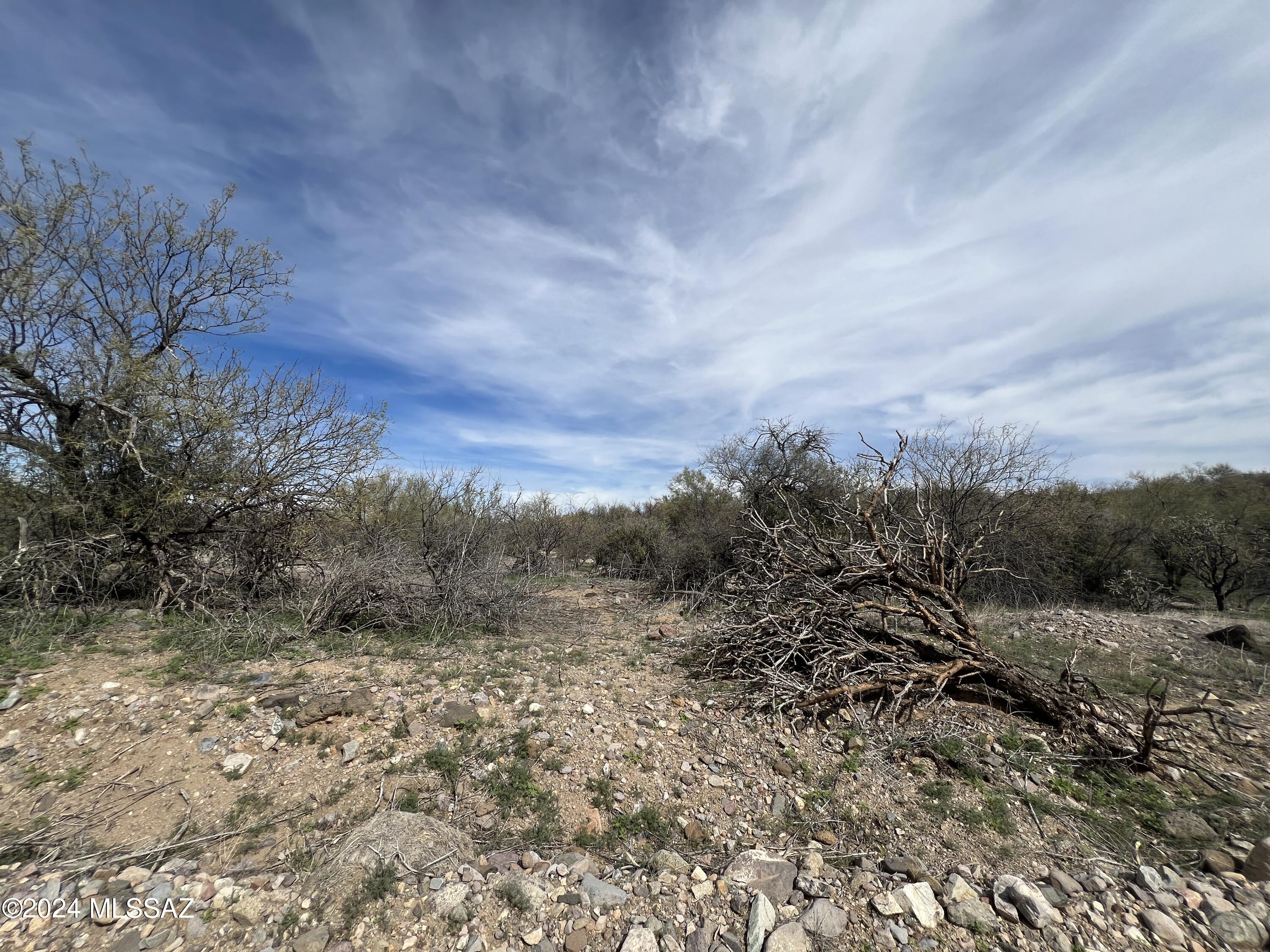 00 W Calle Ocho Unit: 115