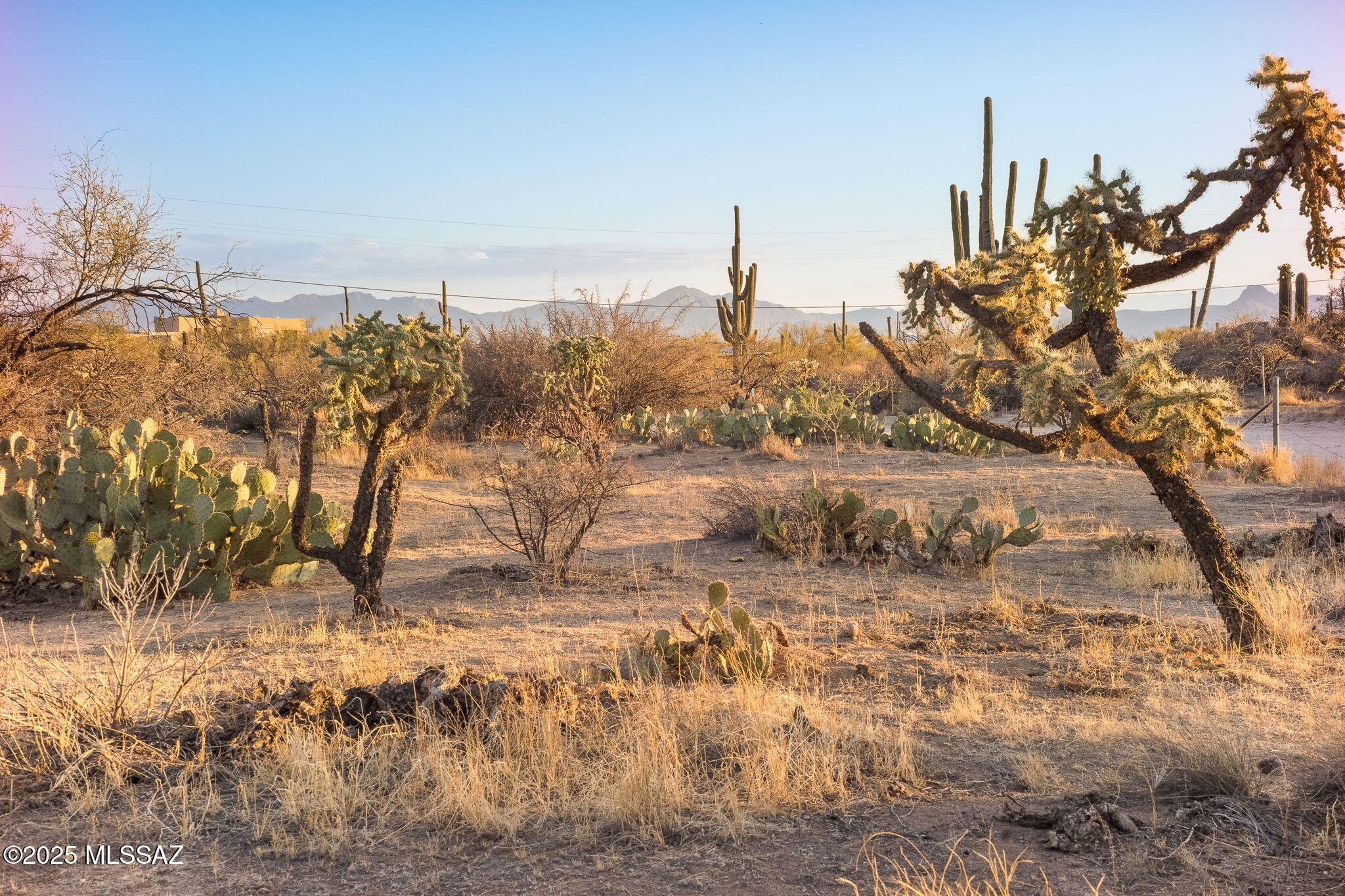 2676 W Cougar Canyon Trail