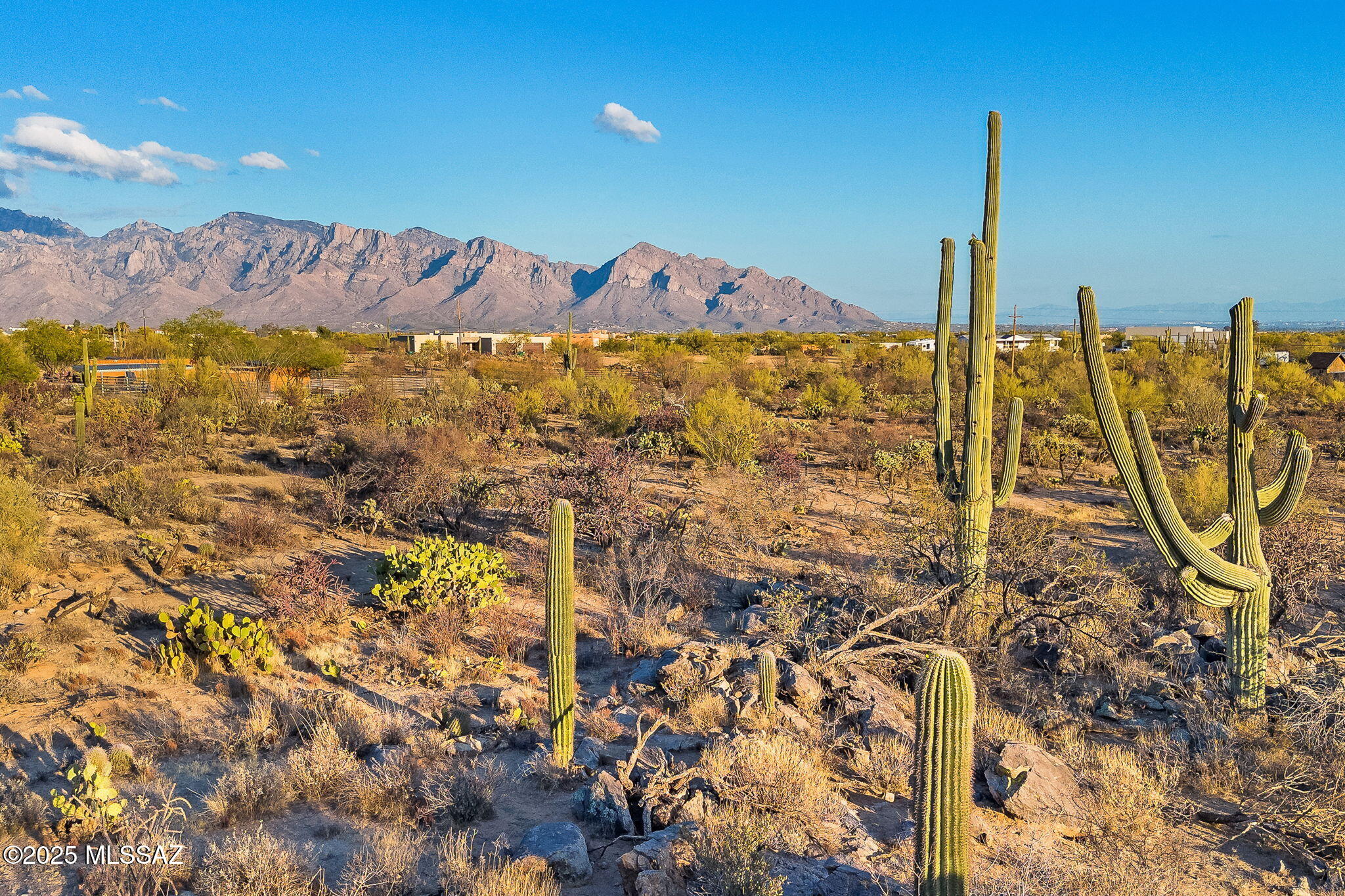 2676 W Cougar Canyon Trail