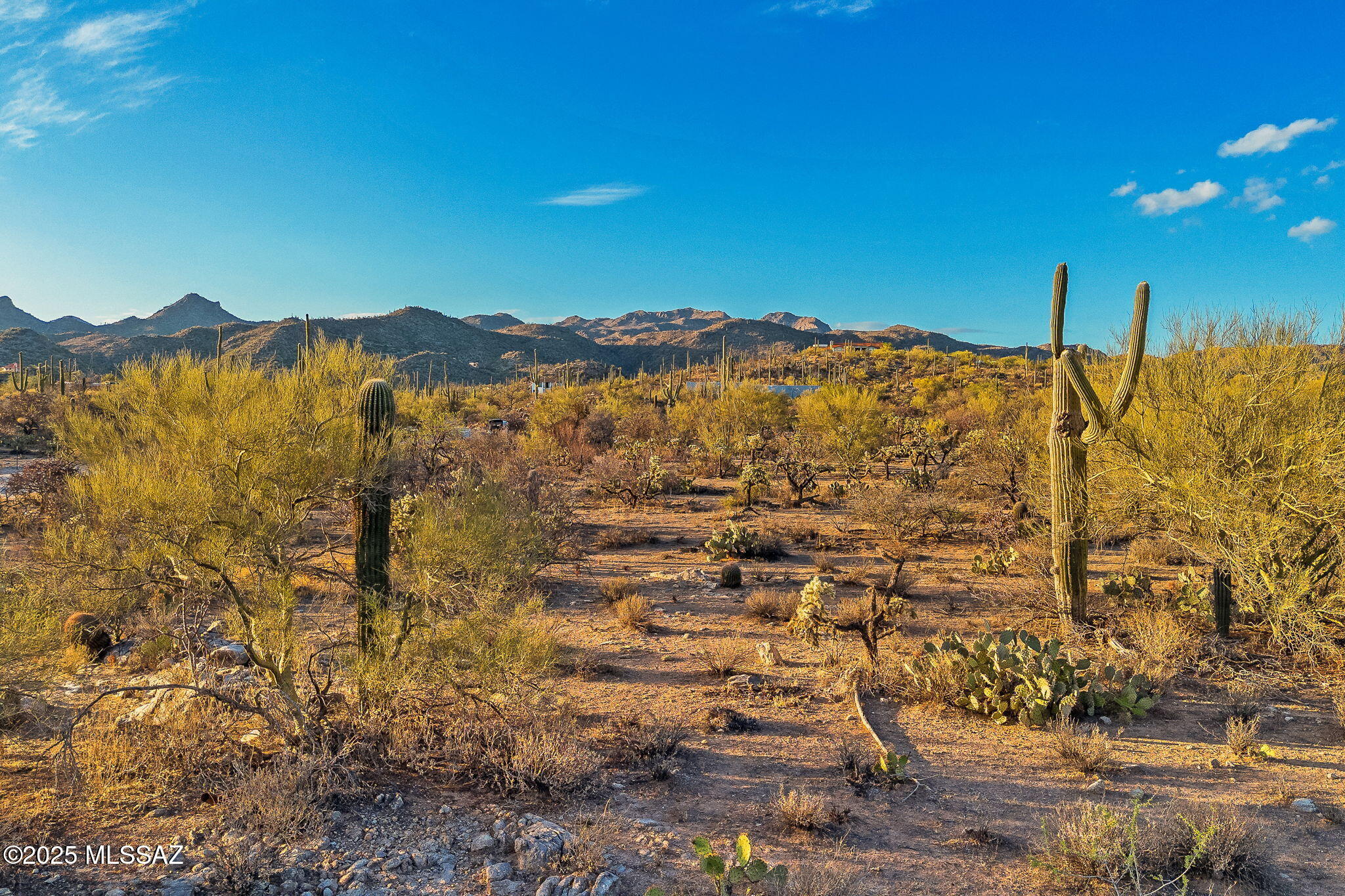 2676 W Cougar Canyon Trail