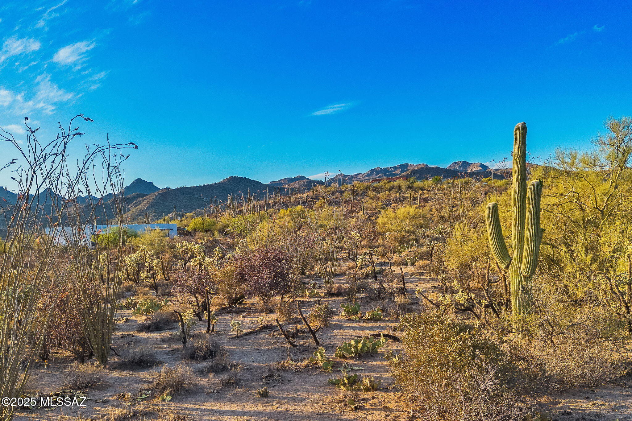 2676 W Cougar Canyon Trail