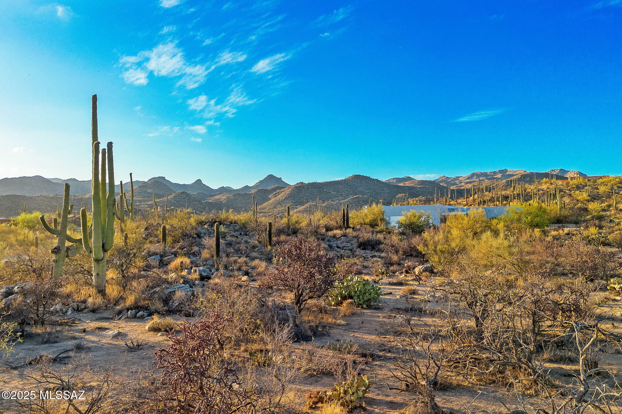 2676 W Cougar Canyon Trail