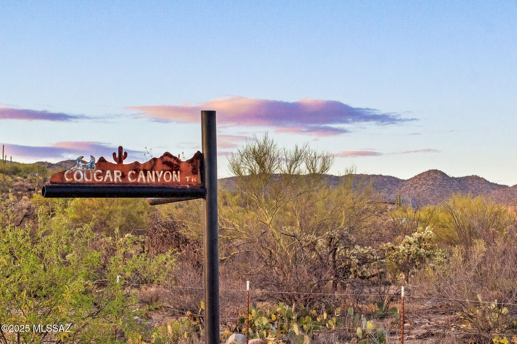 2676 W Cougar Canyon Trail