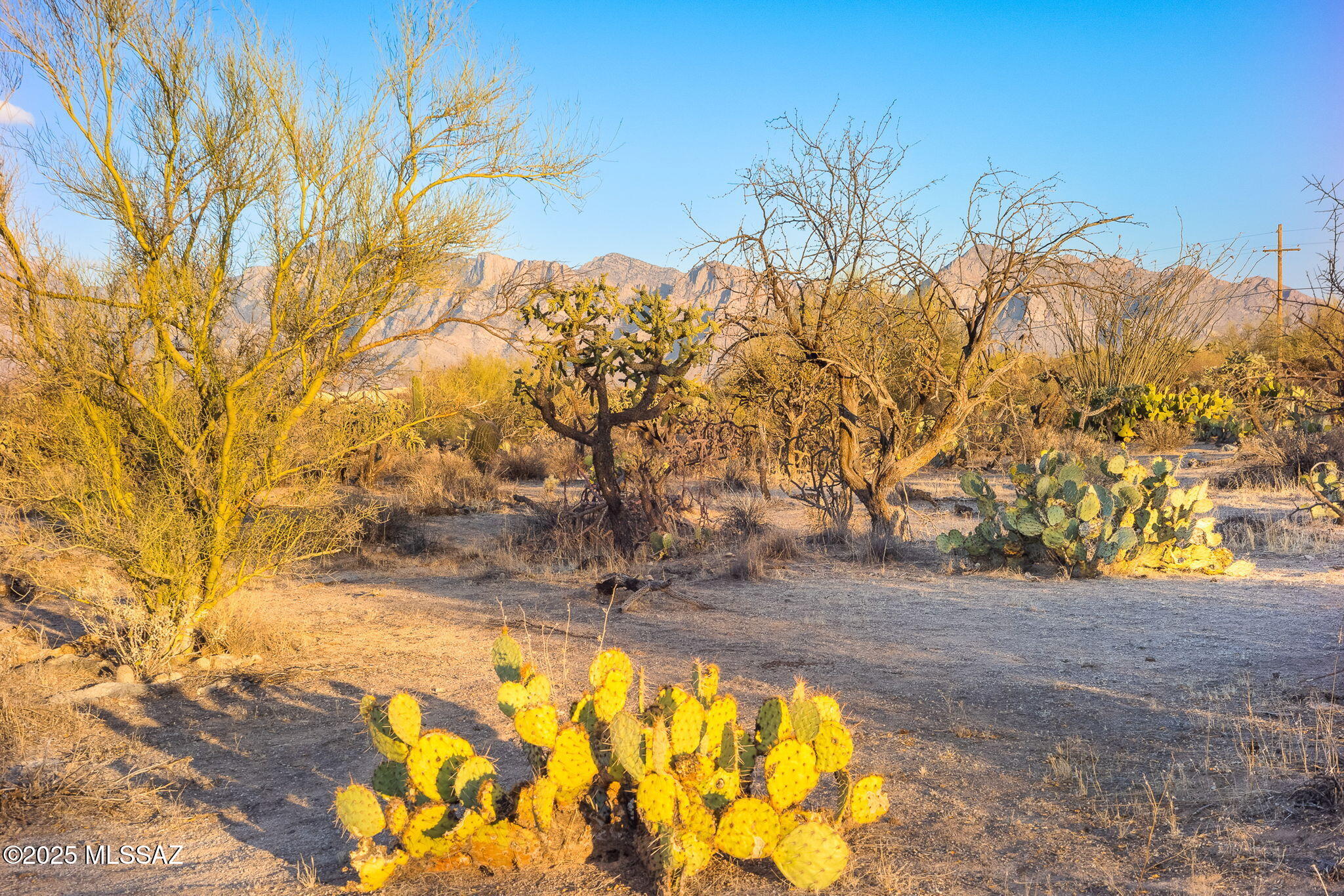 2676 W Cougar Canyon Trail