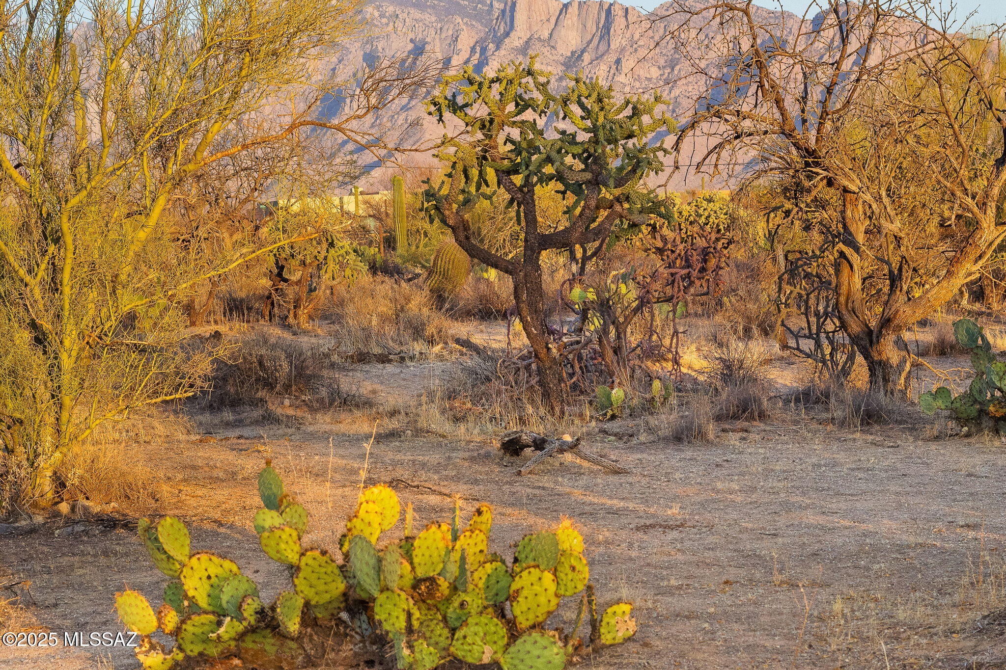 2676 W Cougar Canyon Trail