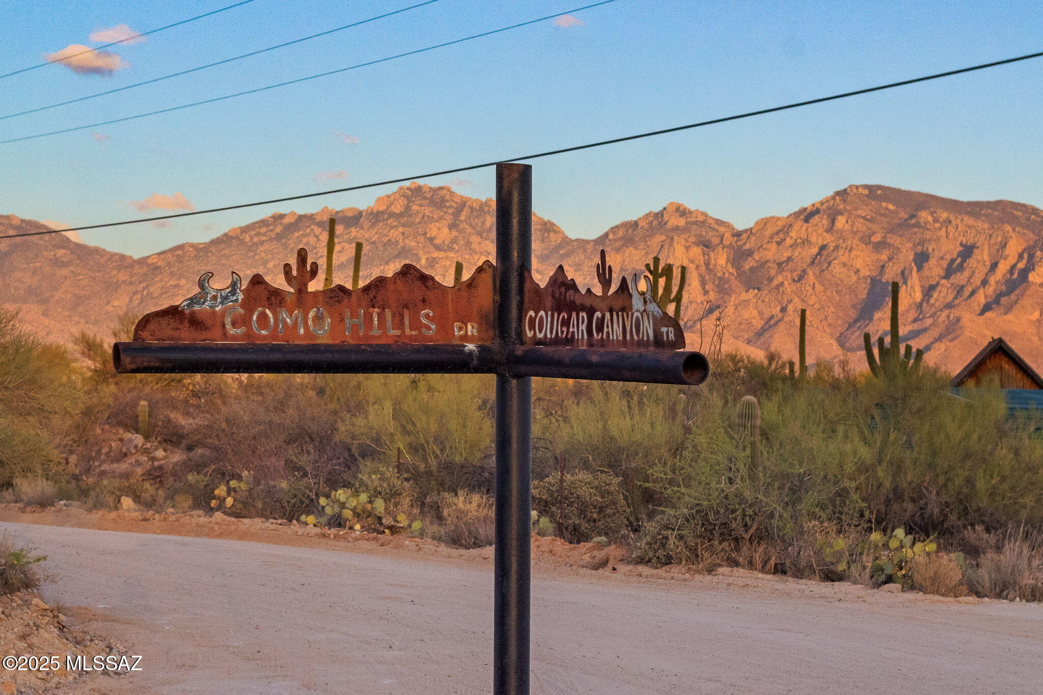 2676 W Cougar Canyon Trail