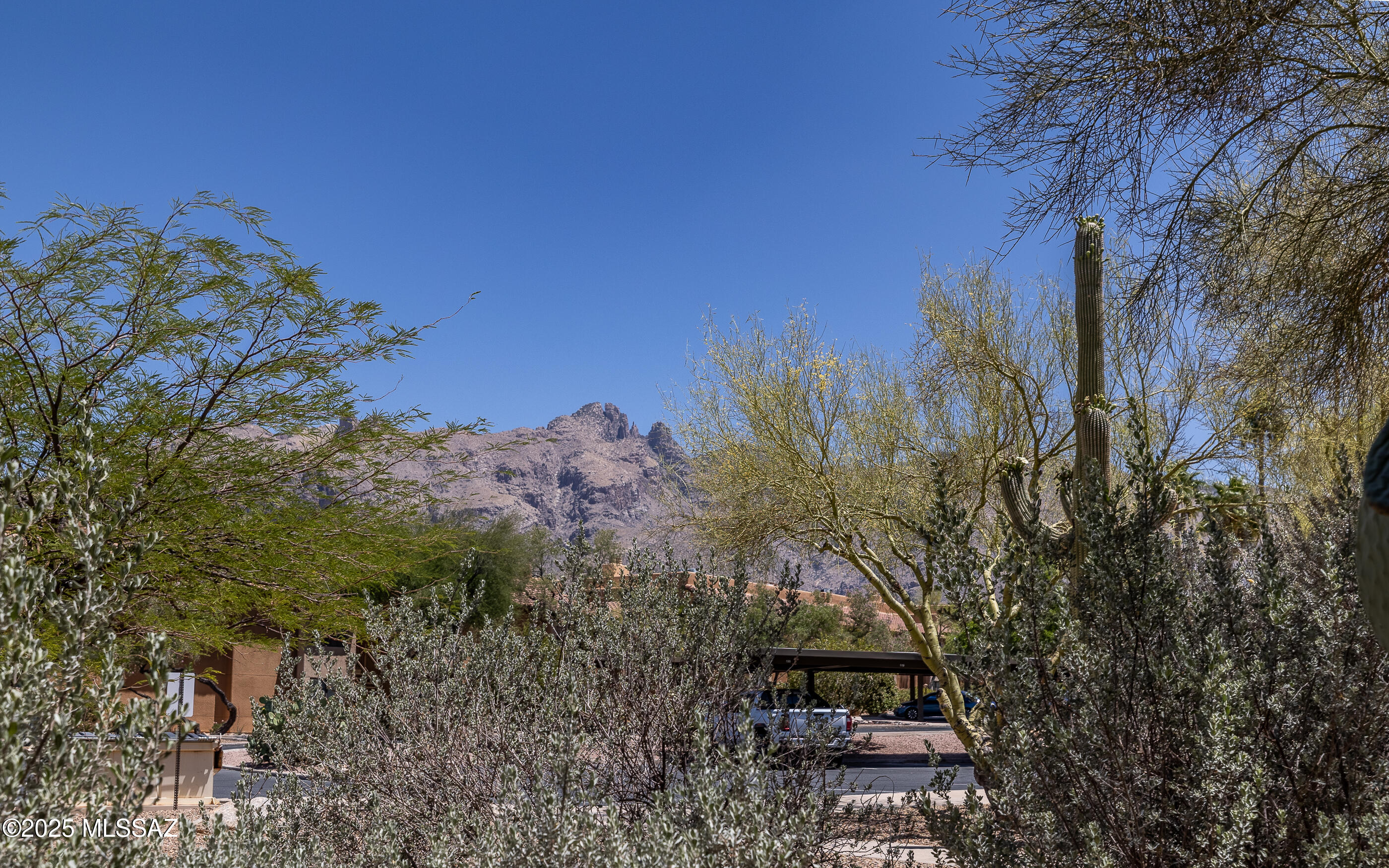 6651 N Campbell Avenue Unit: APT 133