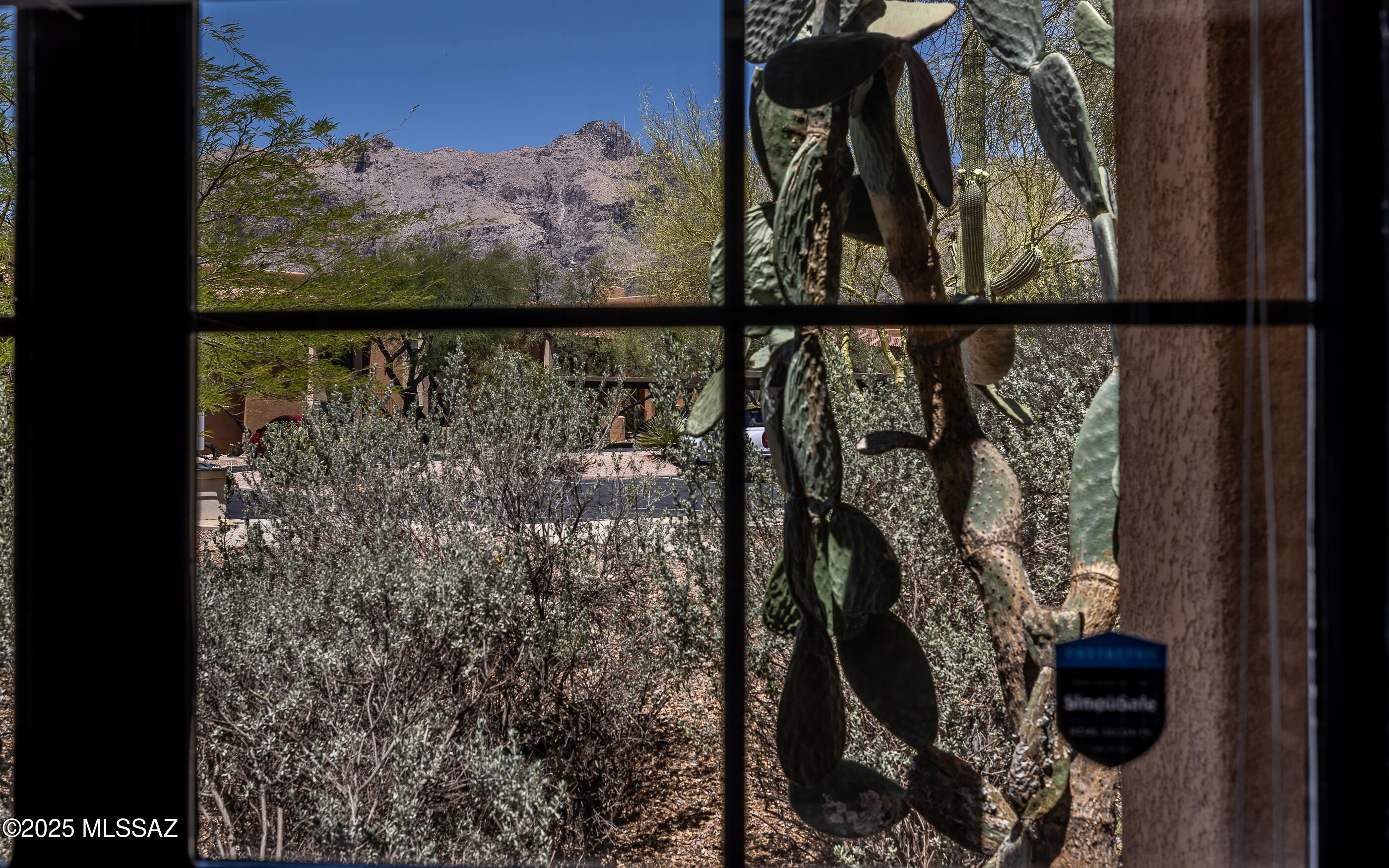 6651 N Campbell Avenue Unit: APT 133