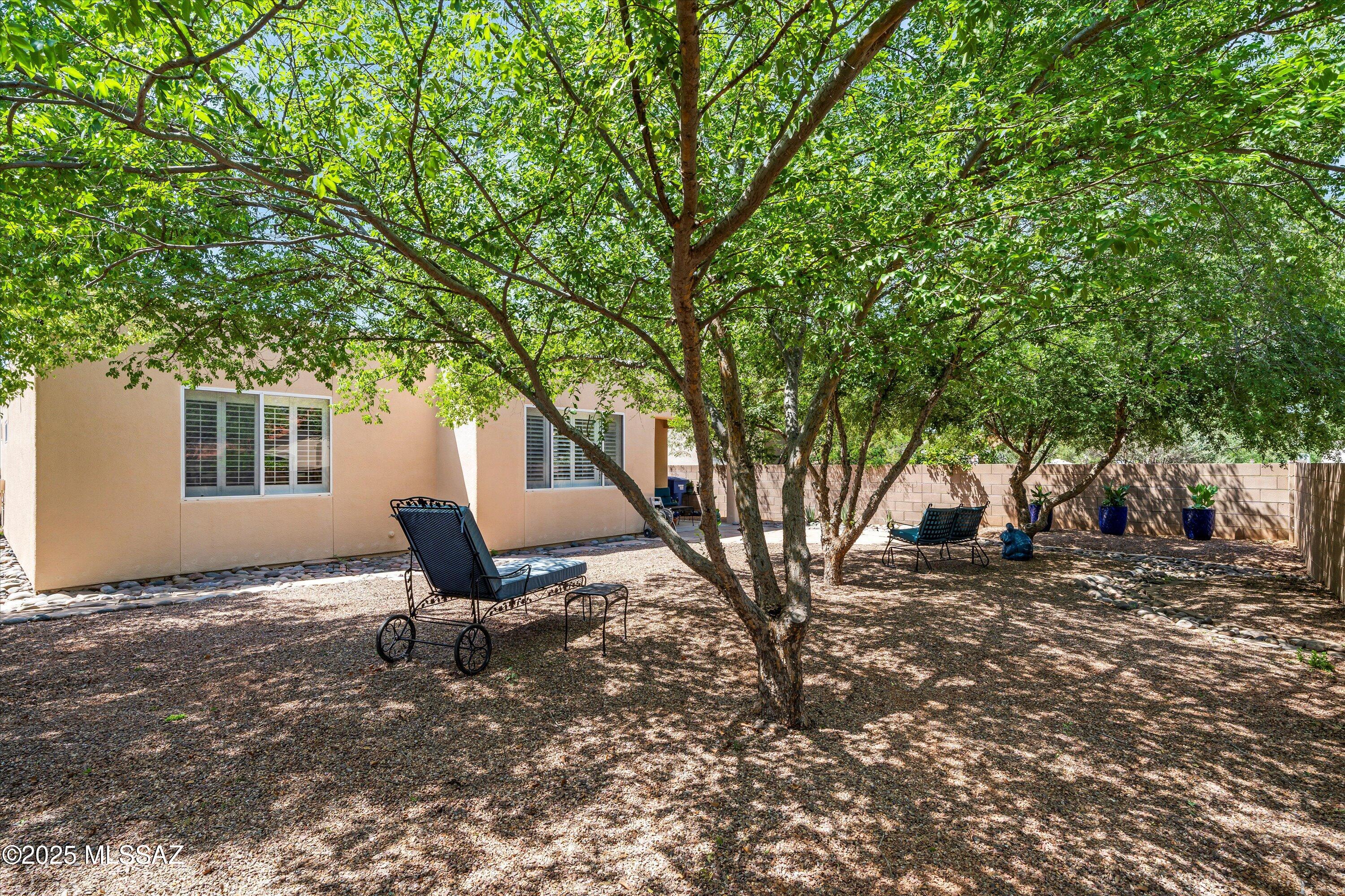 8847 E Desert Verbena Place