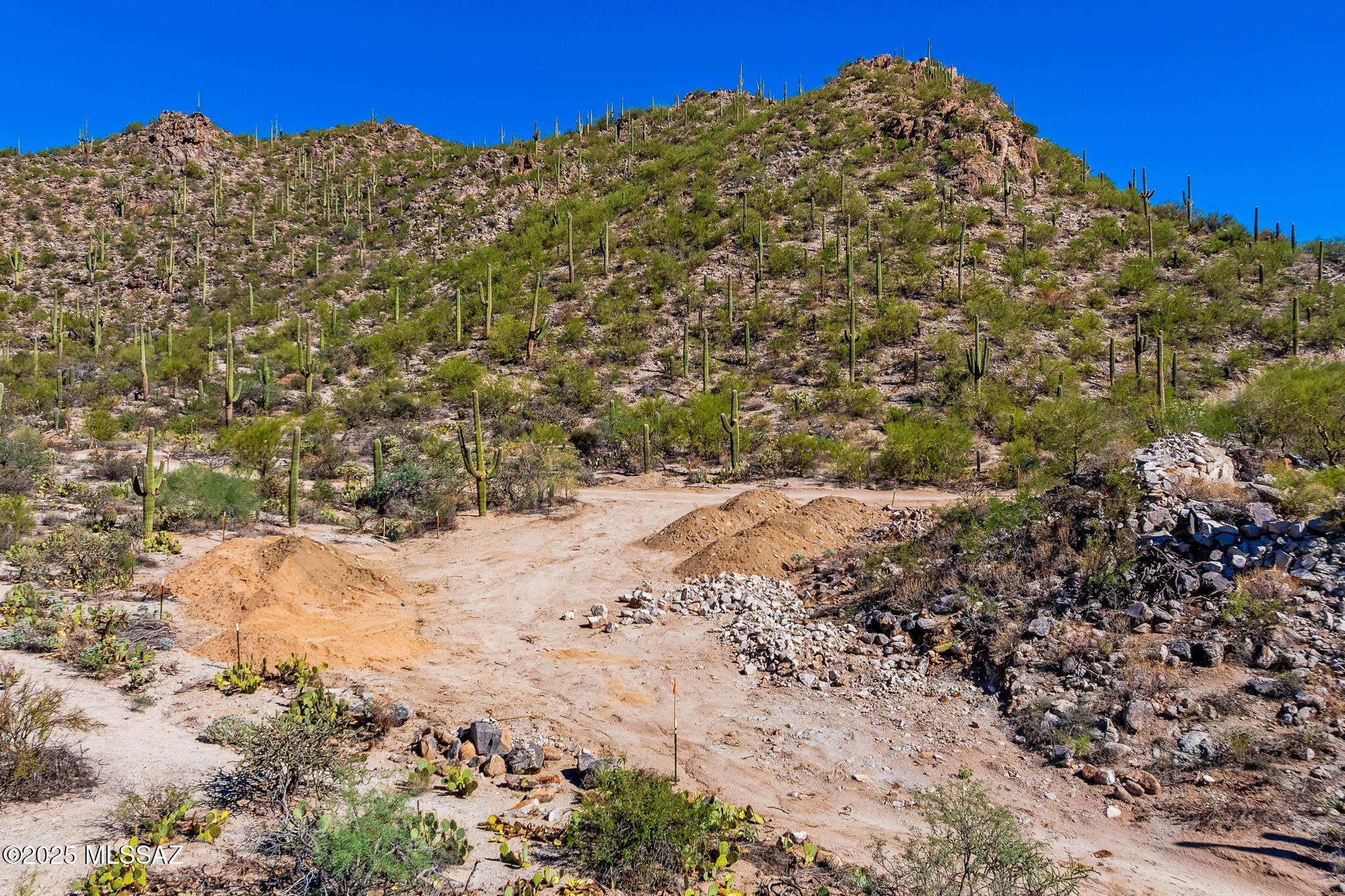 14144 N Tortolita Estates Drive