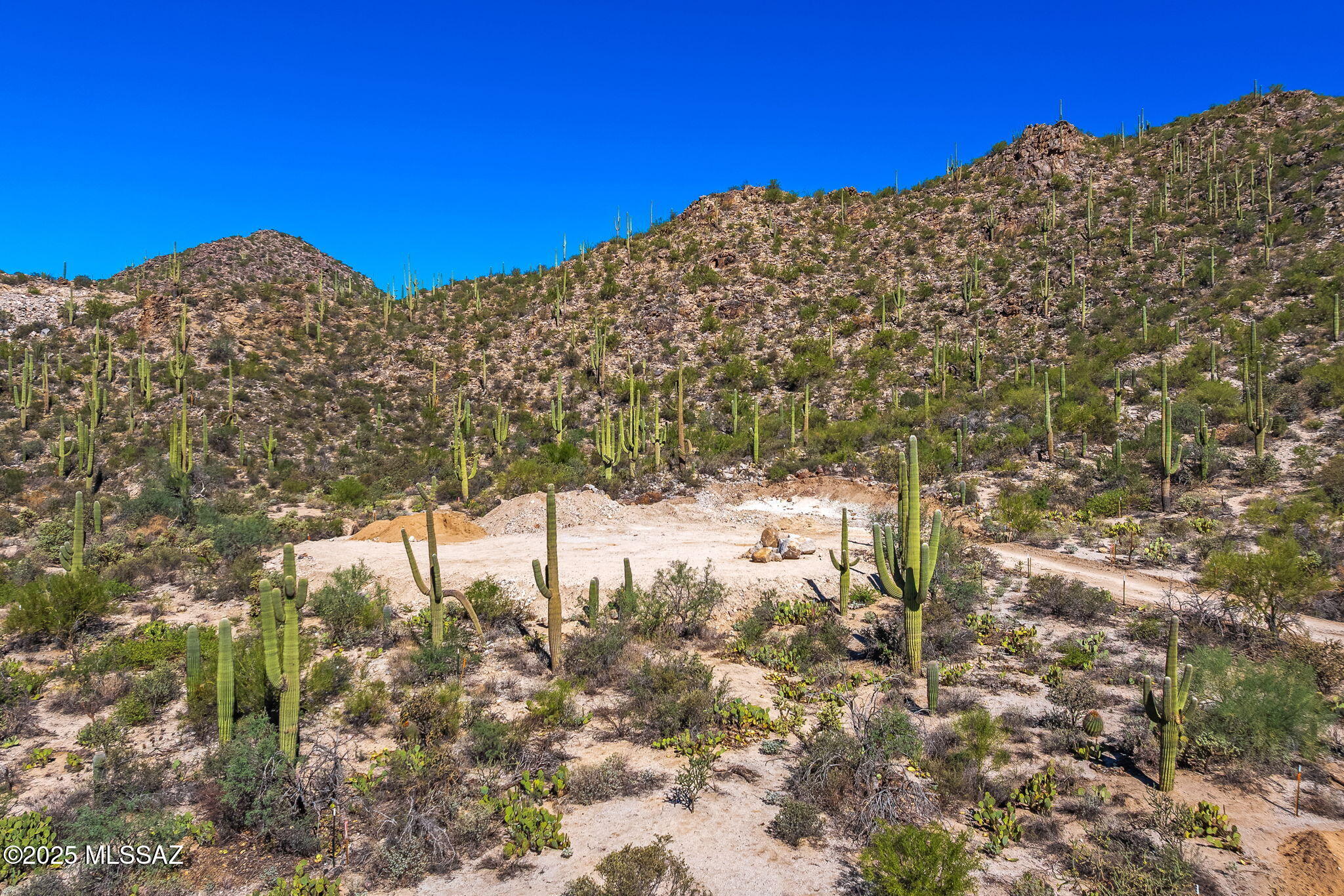 14144 N Tortolita Estates Drive