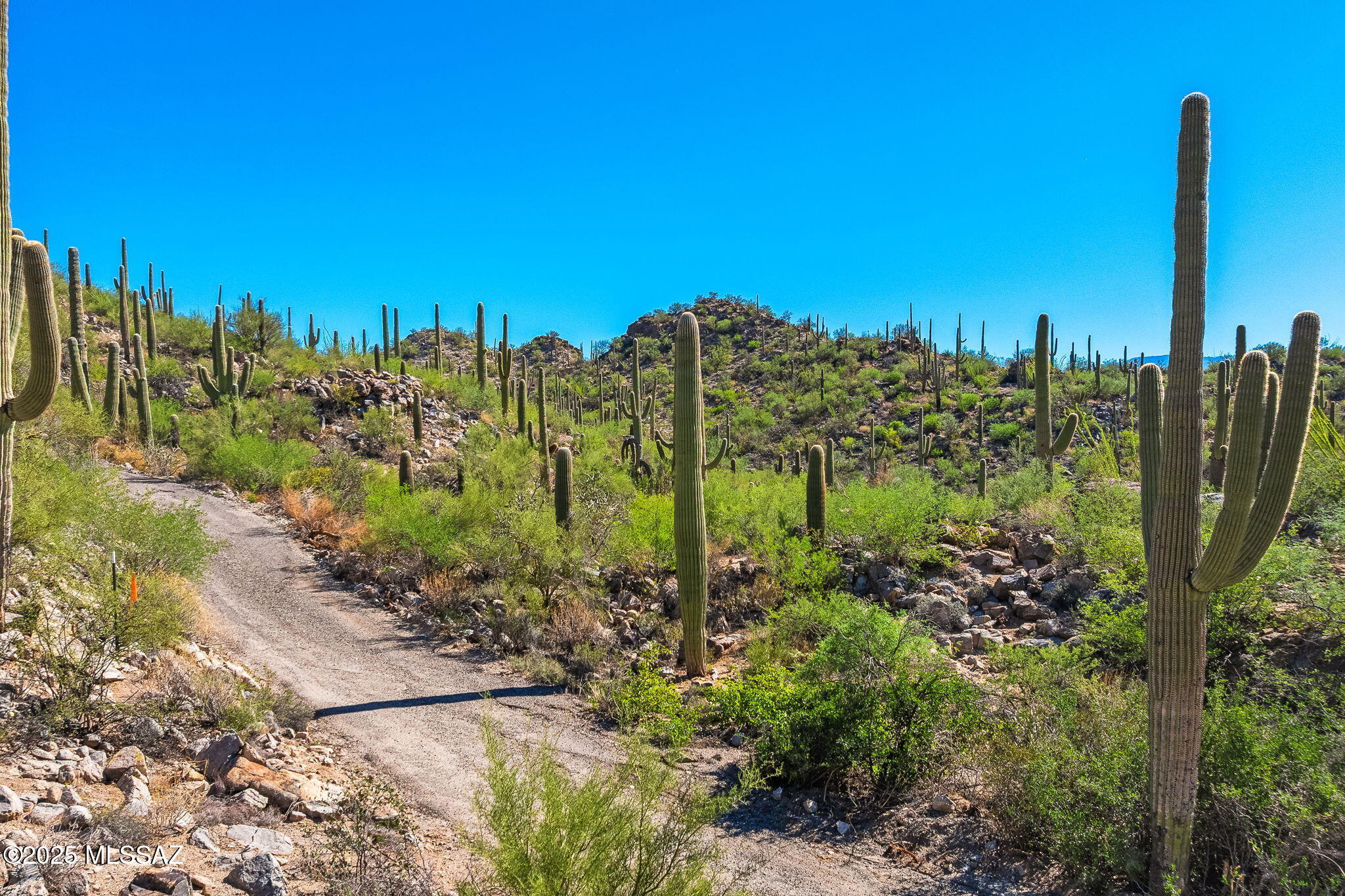 14144 N Tortolita Estates Drive