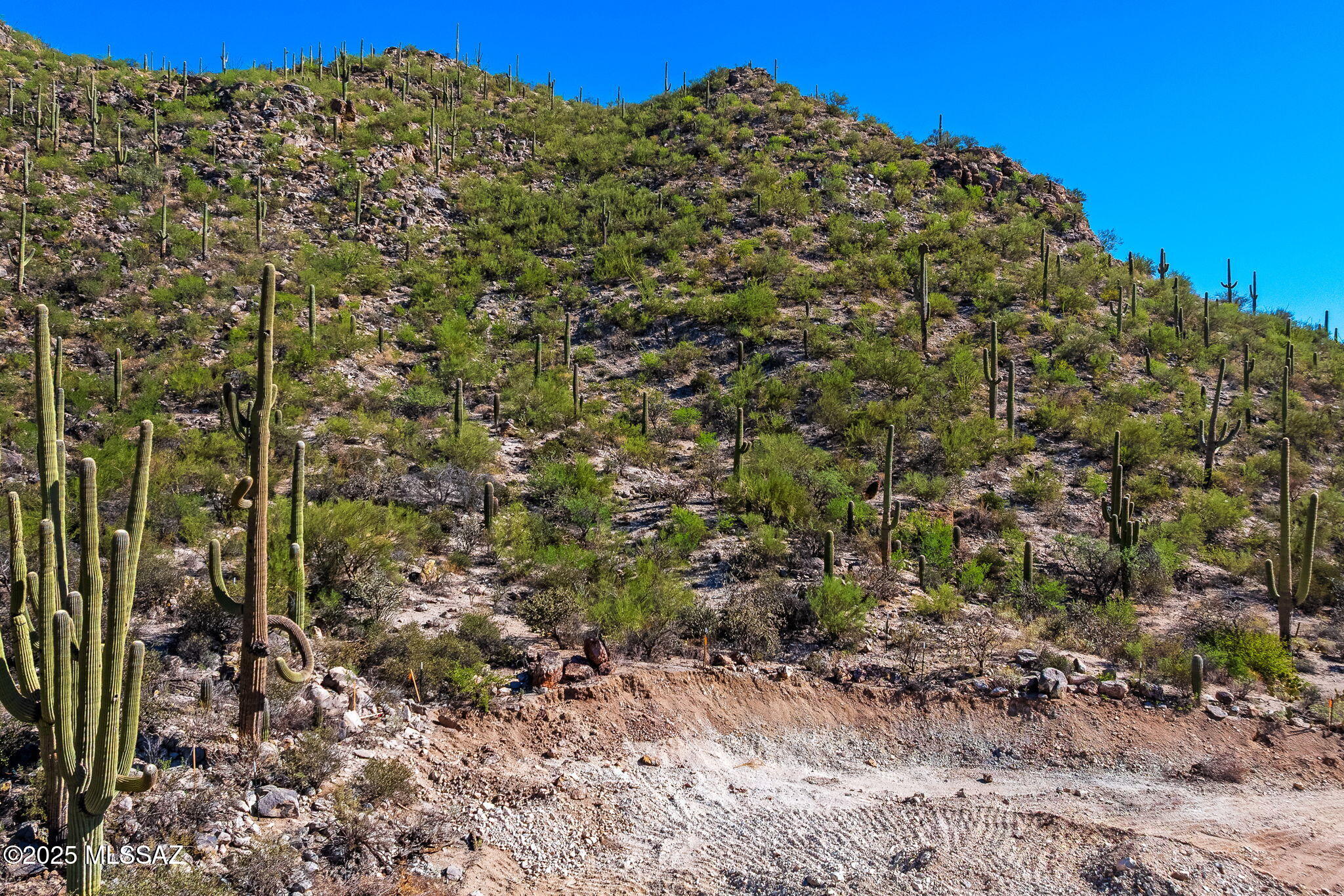 14144 N Tortolita Estates Drive