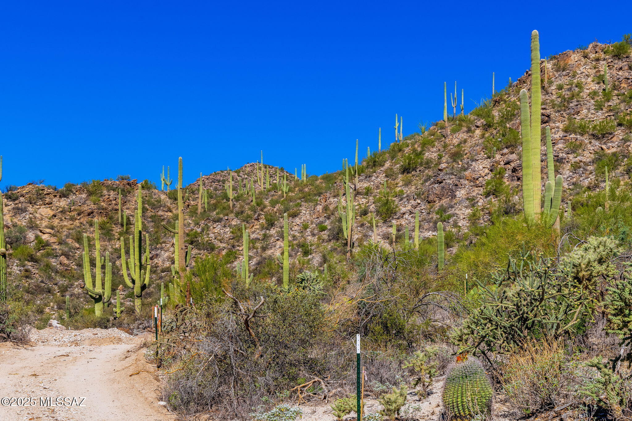 14124 N Tortolita Estates Drive