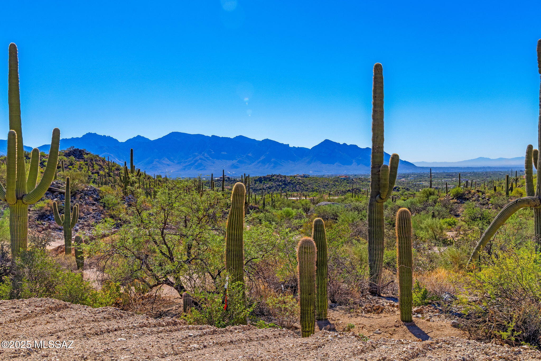 14124 N Tortolita Estates Drive