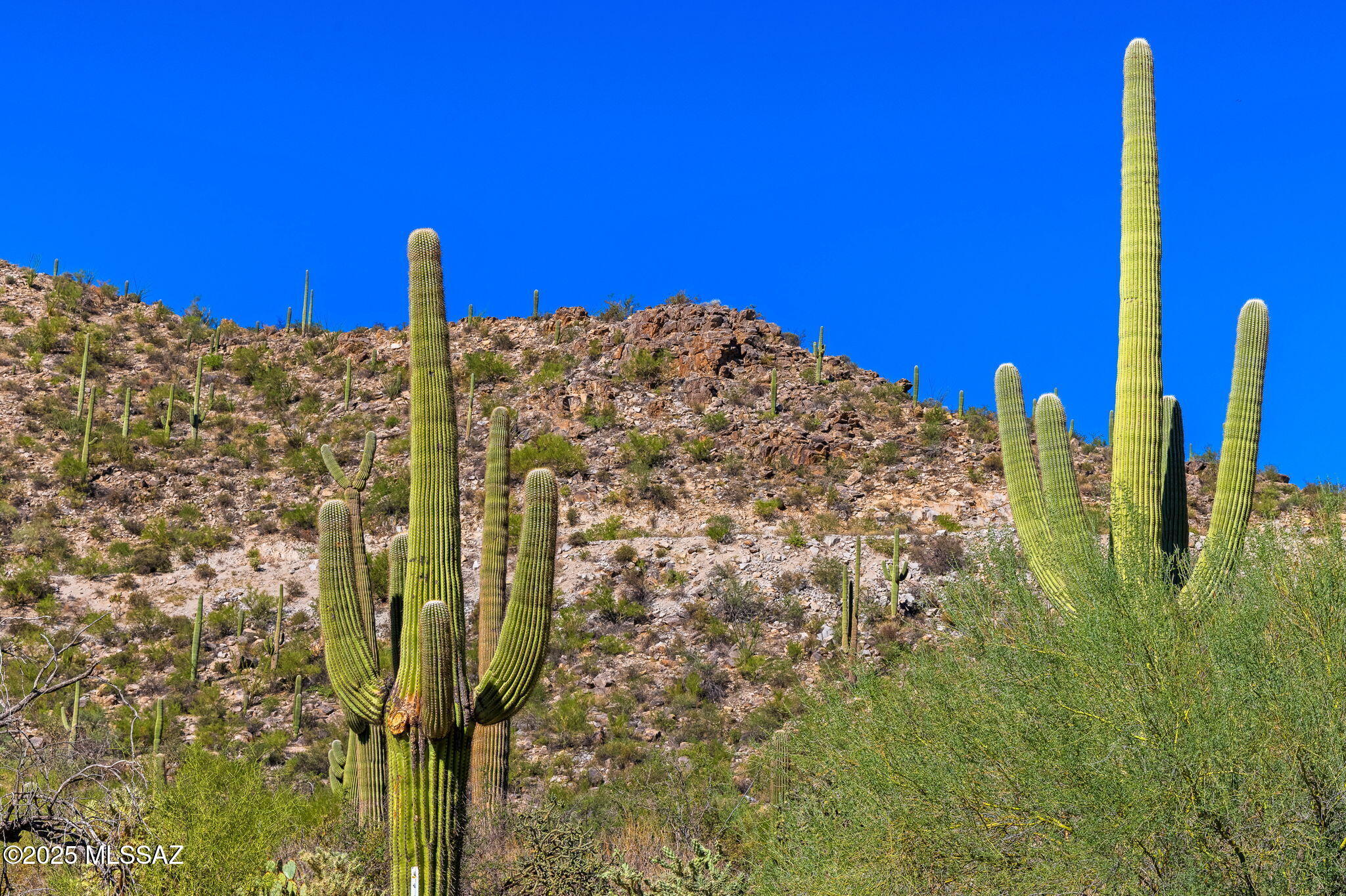 14124 N Tortolita Estates Drive