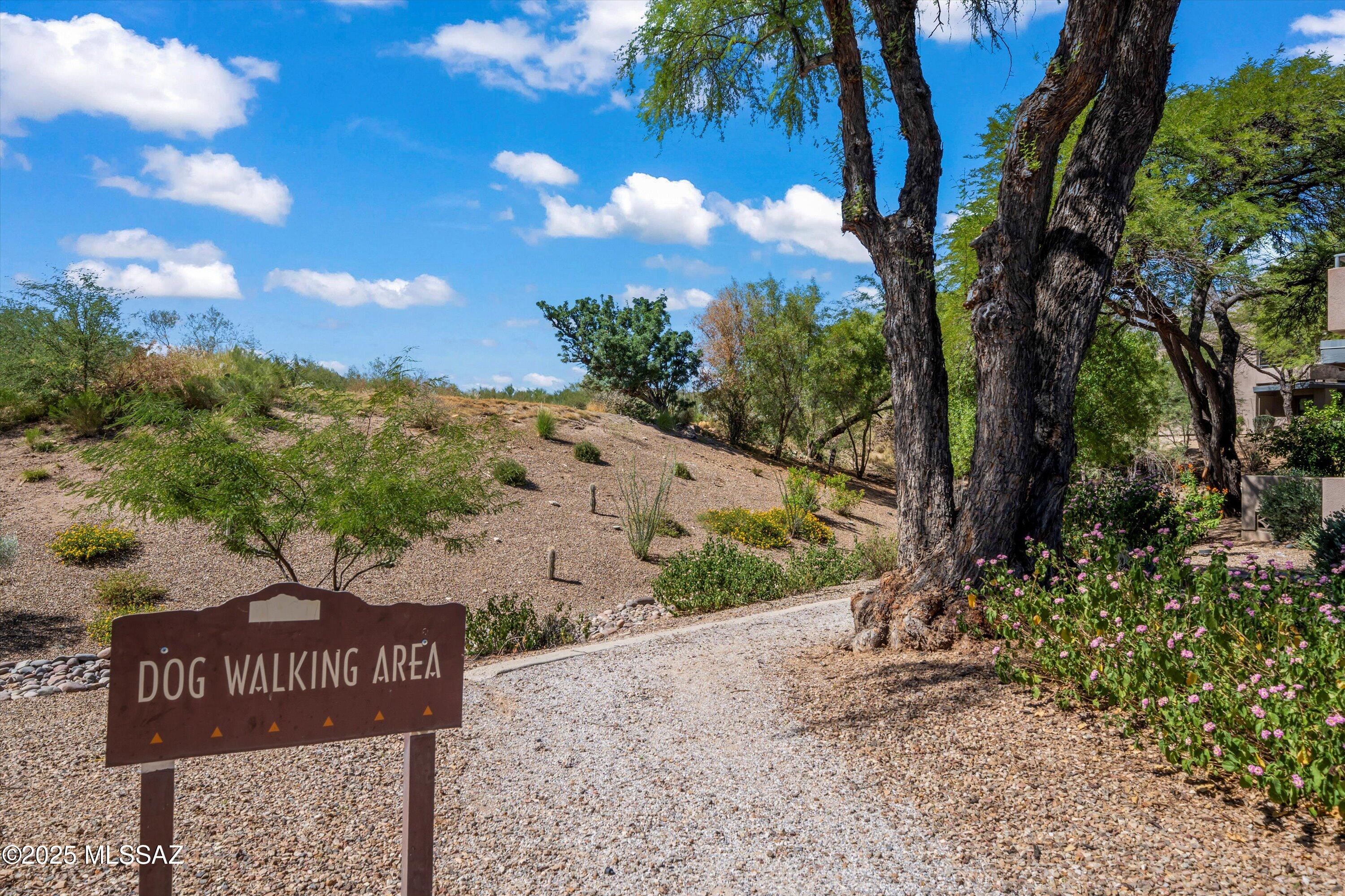 5855 N Kolb Road Unit: 1211