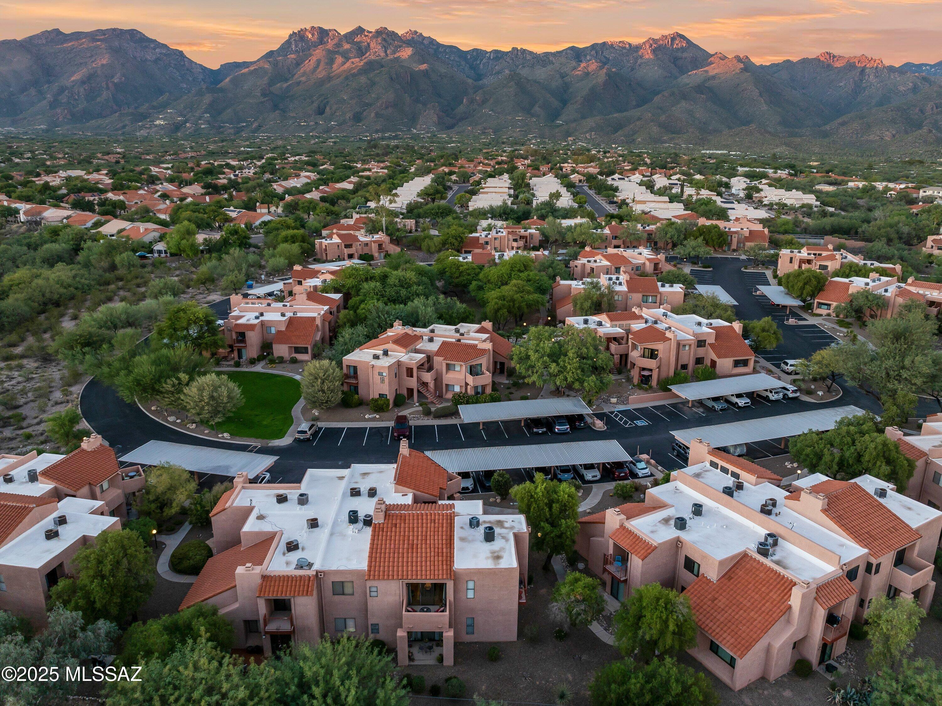 5051 N Sabino Canyon Road Unit: 2220