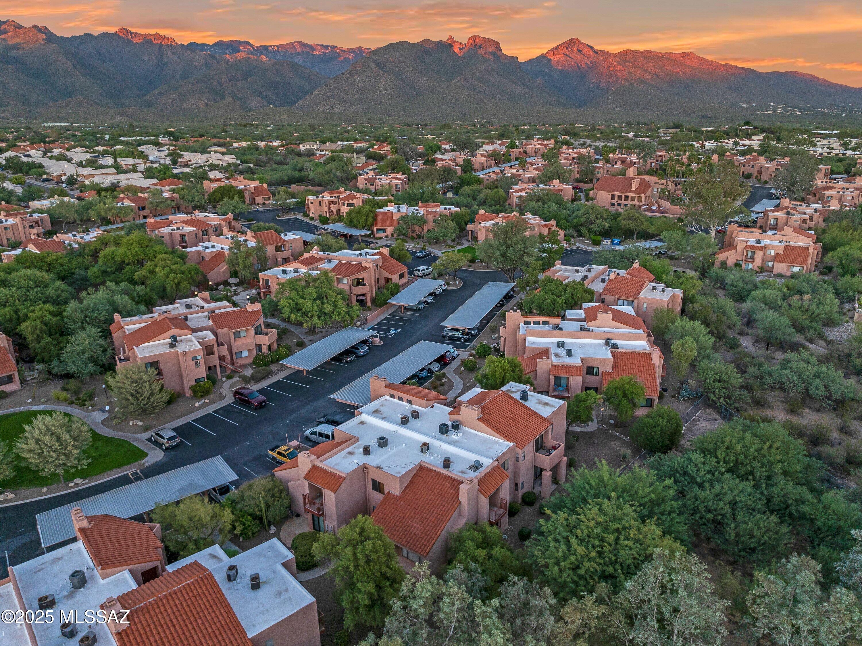 5051 N Sabino Canyon Road Unit: 2220