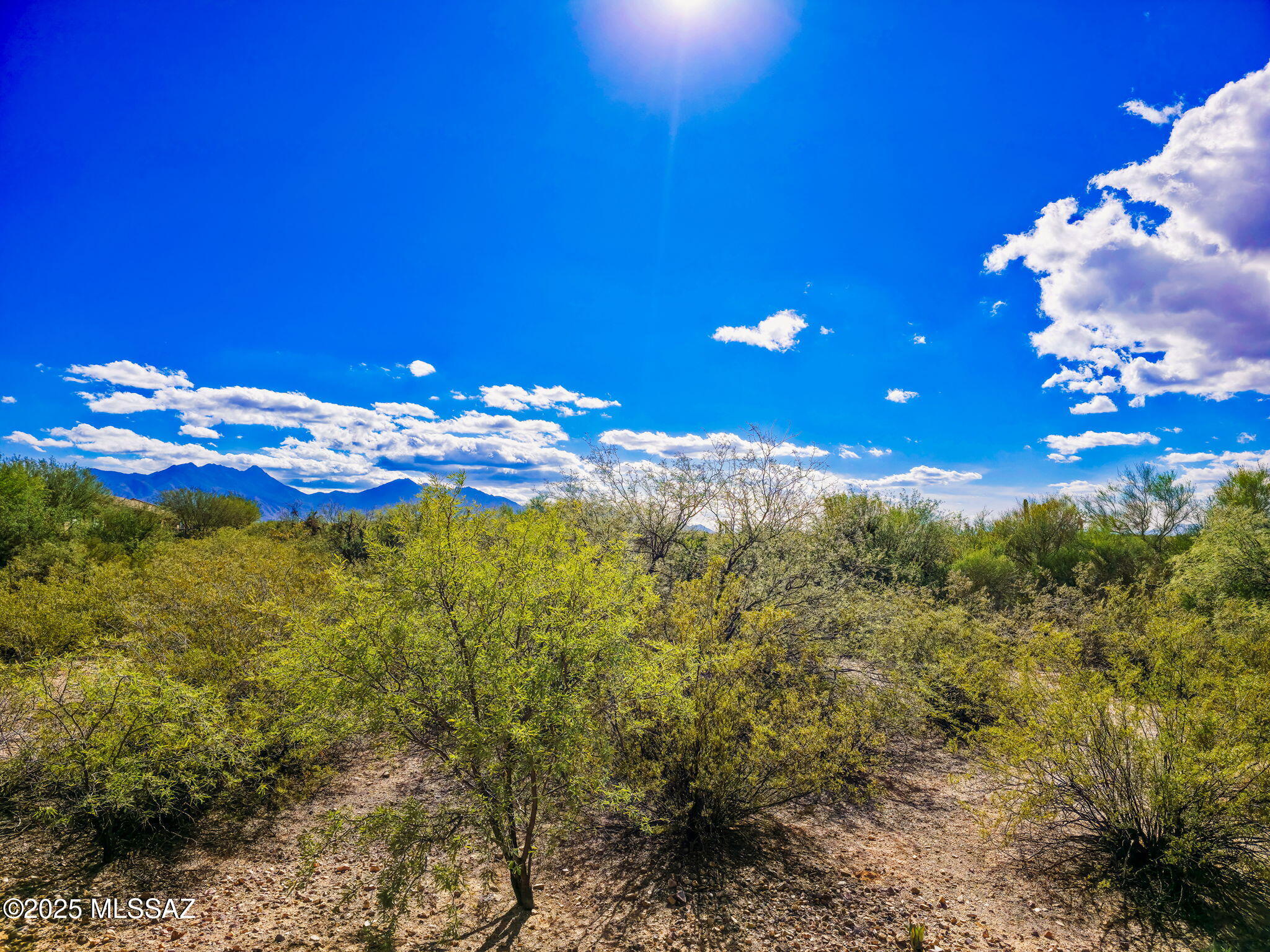 883 N Broken Hills Drive