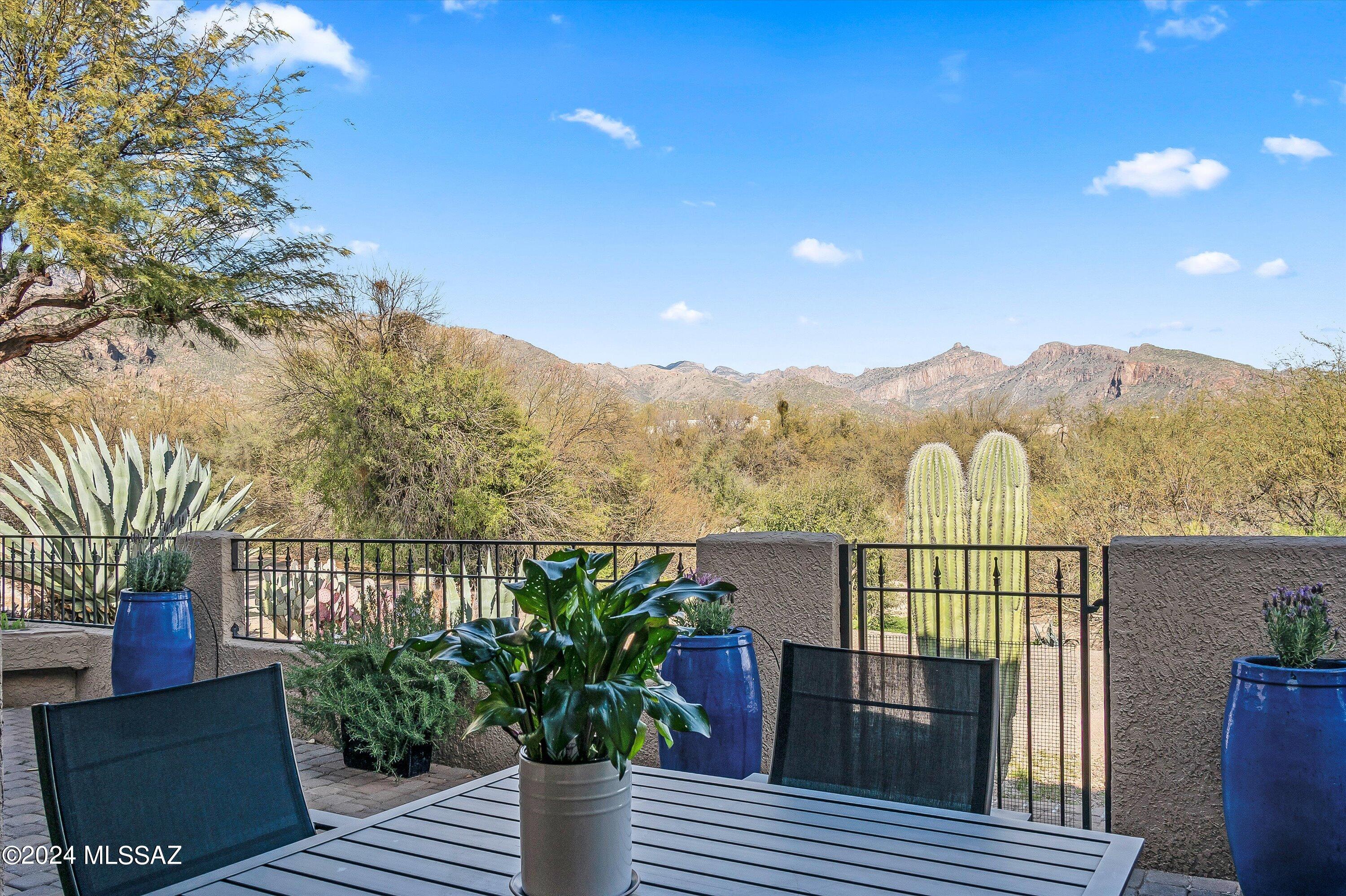 6020 N Coatimundi Drive