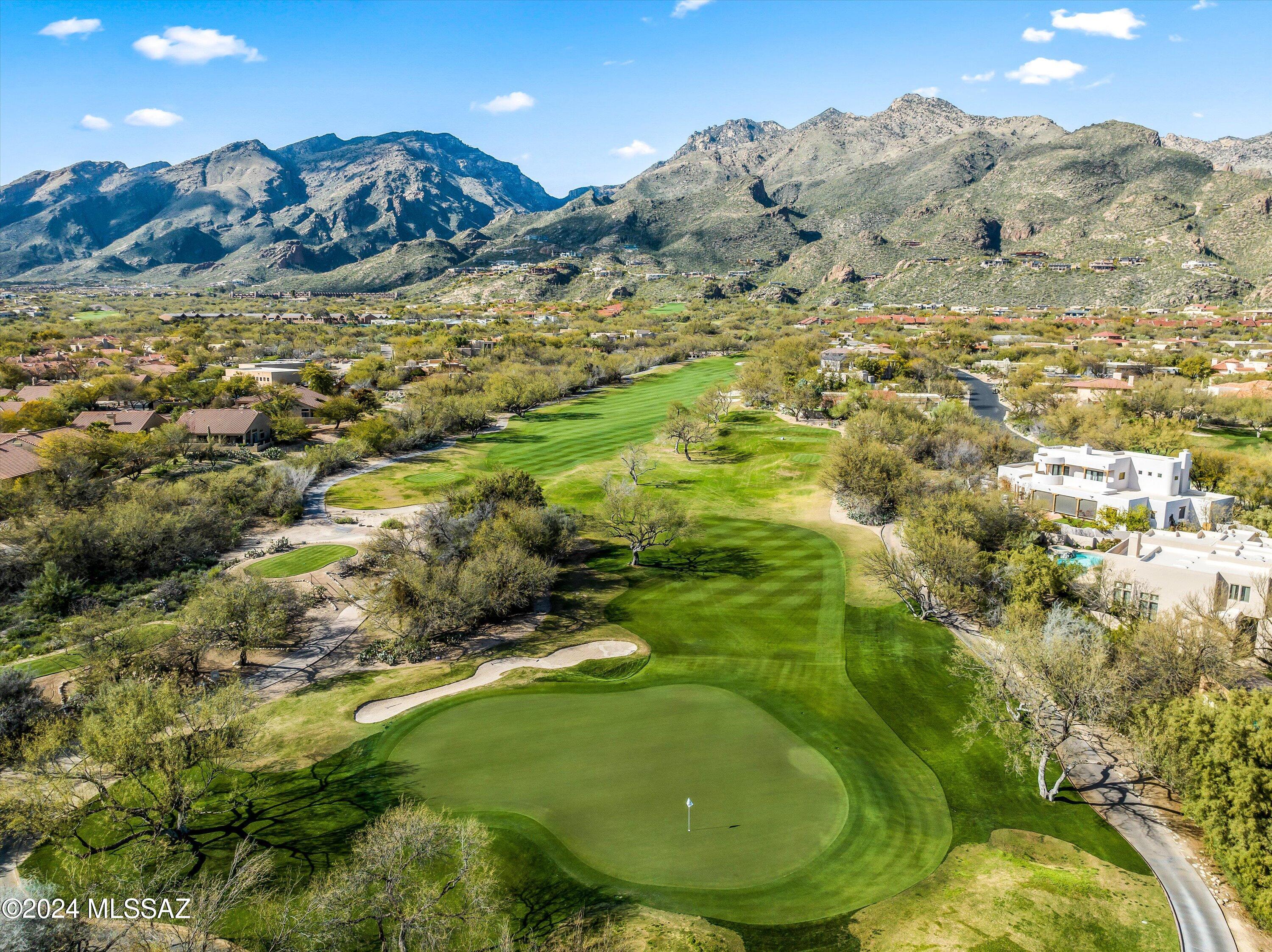 6020 N Coatimundi Drive